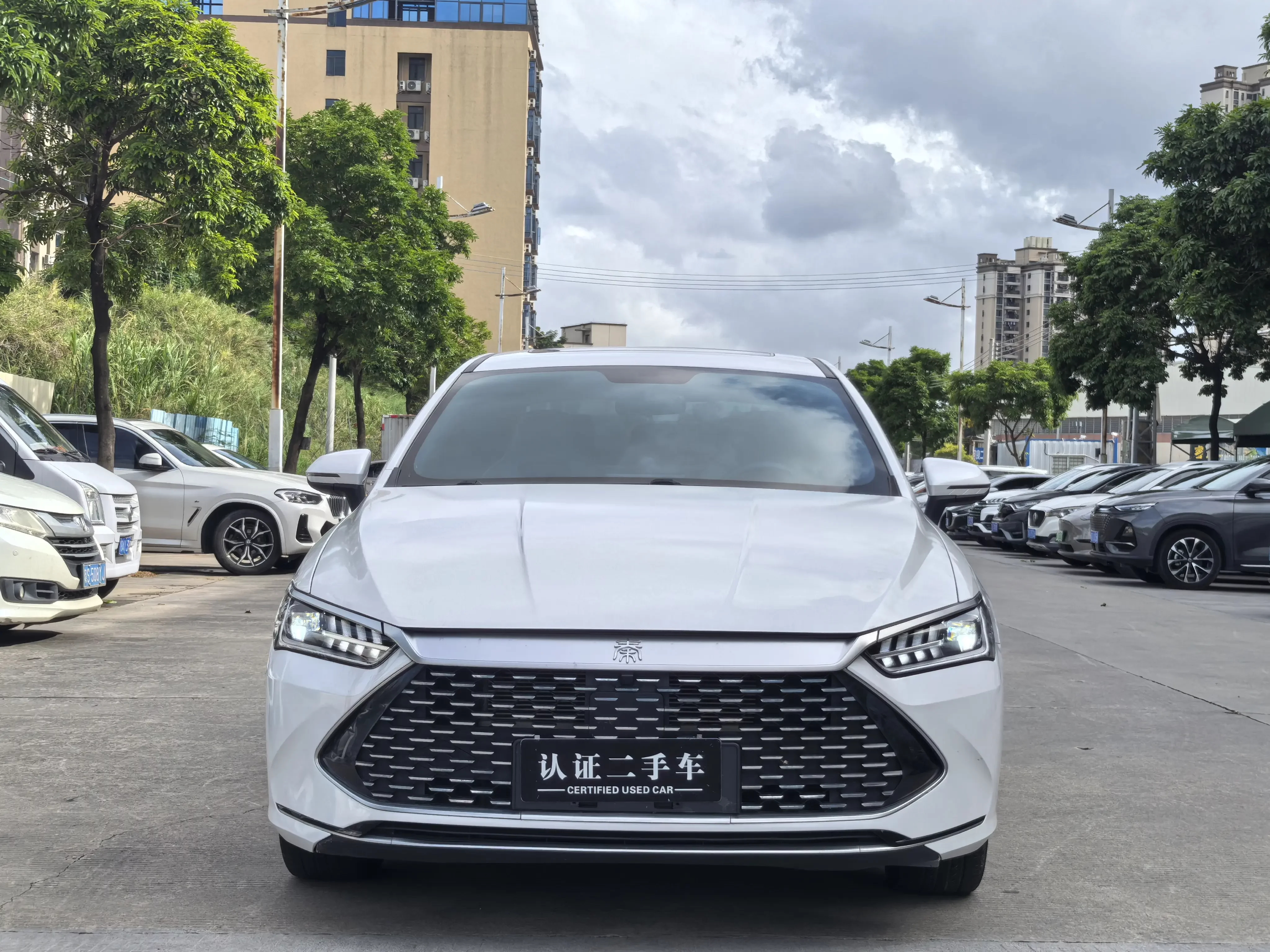 BYD Qin PLUS DM