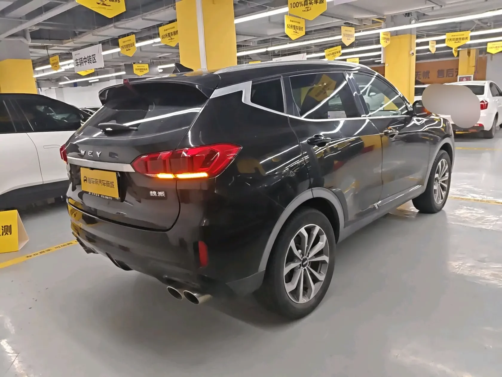 Wey Wei brand VV6