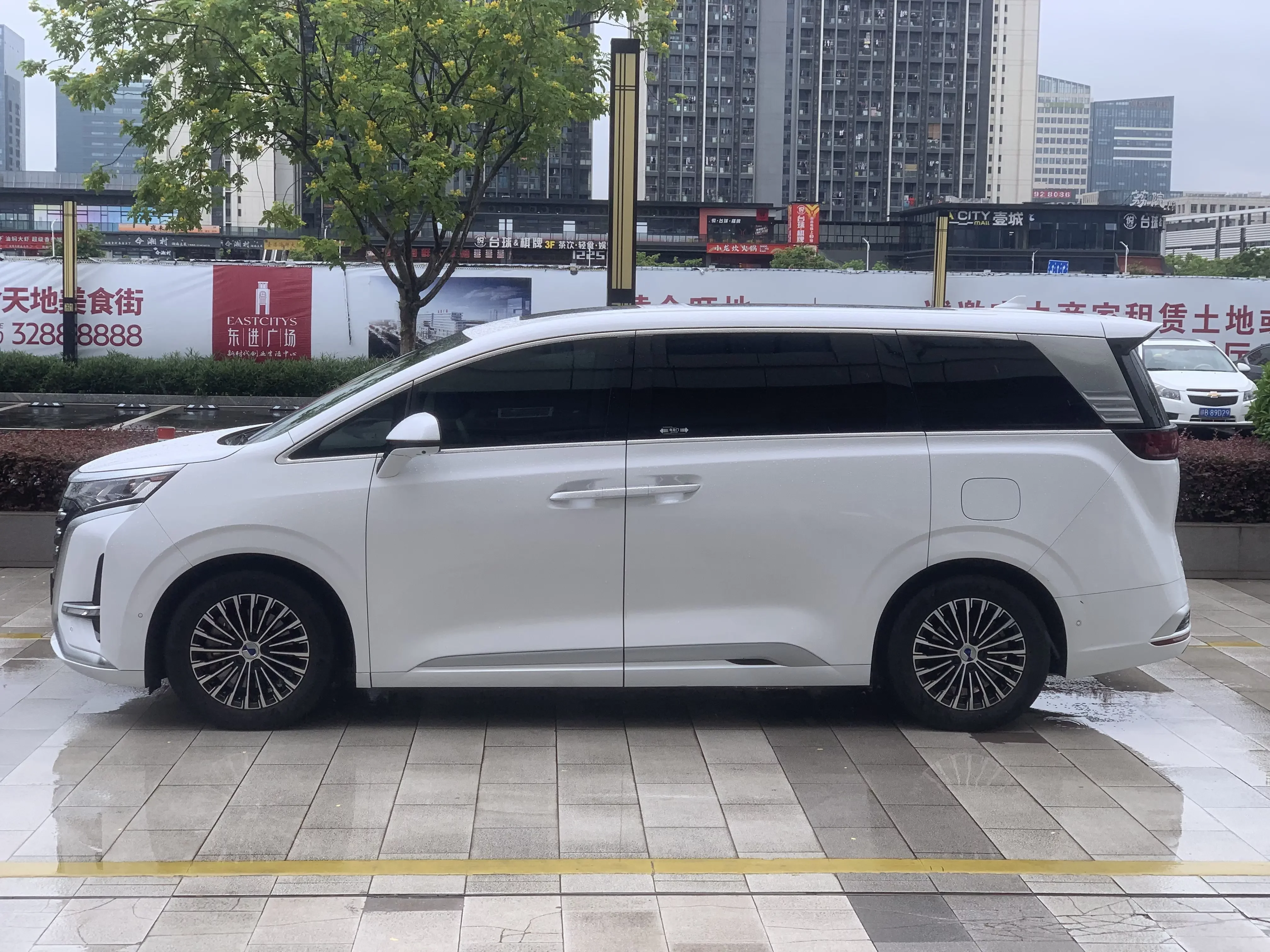Denza D9 DM