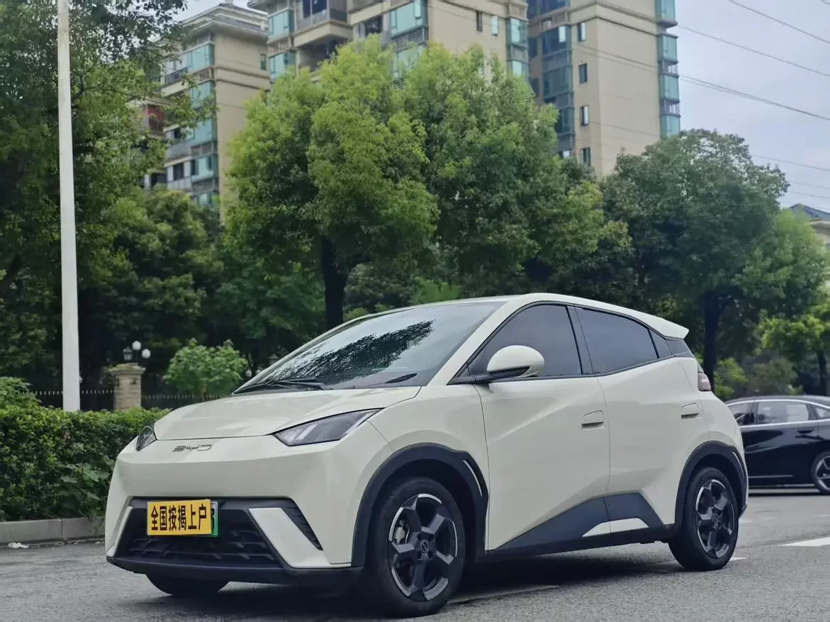 BYD seagull