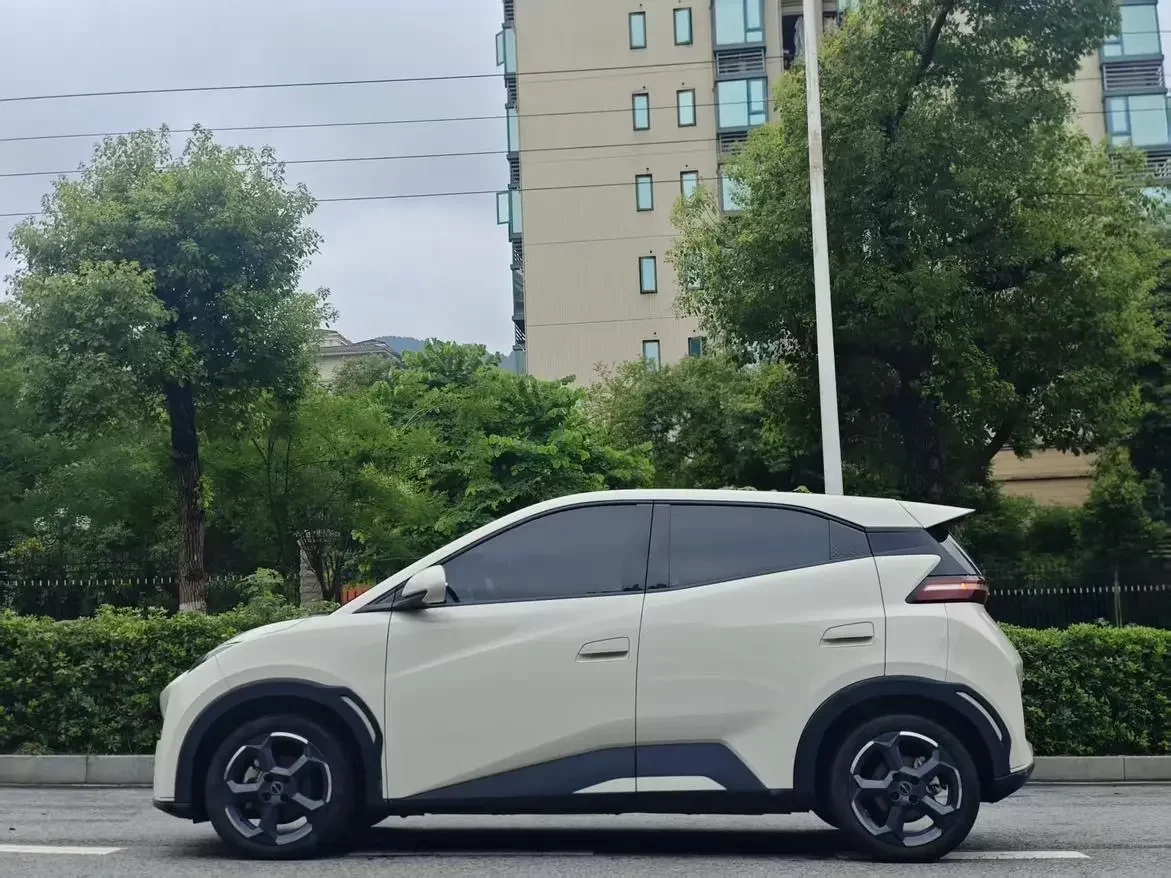 BYD seagull