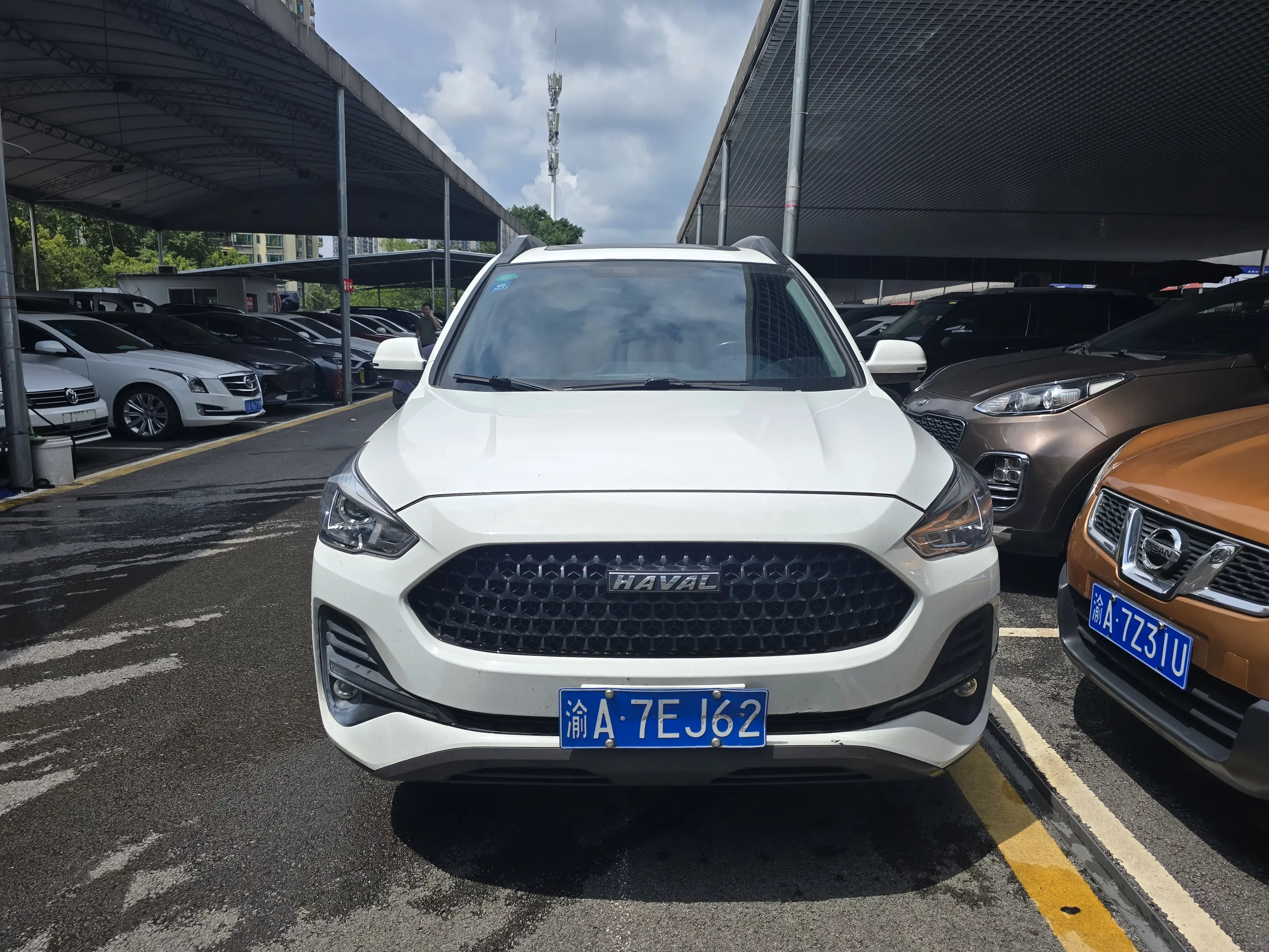 Haval M6  из Китая