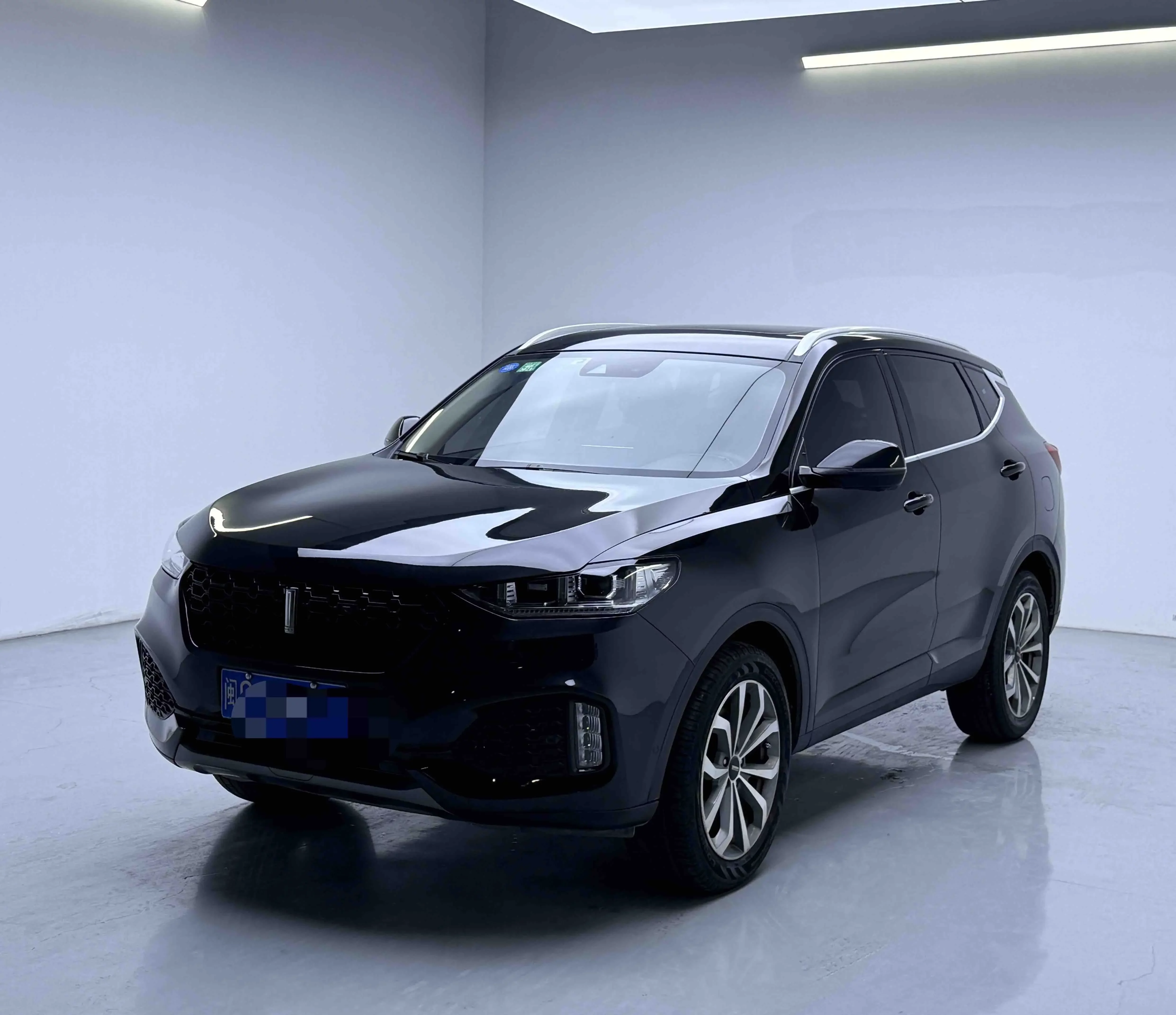 Wey Wei brand VV6