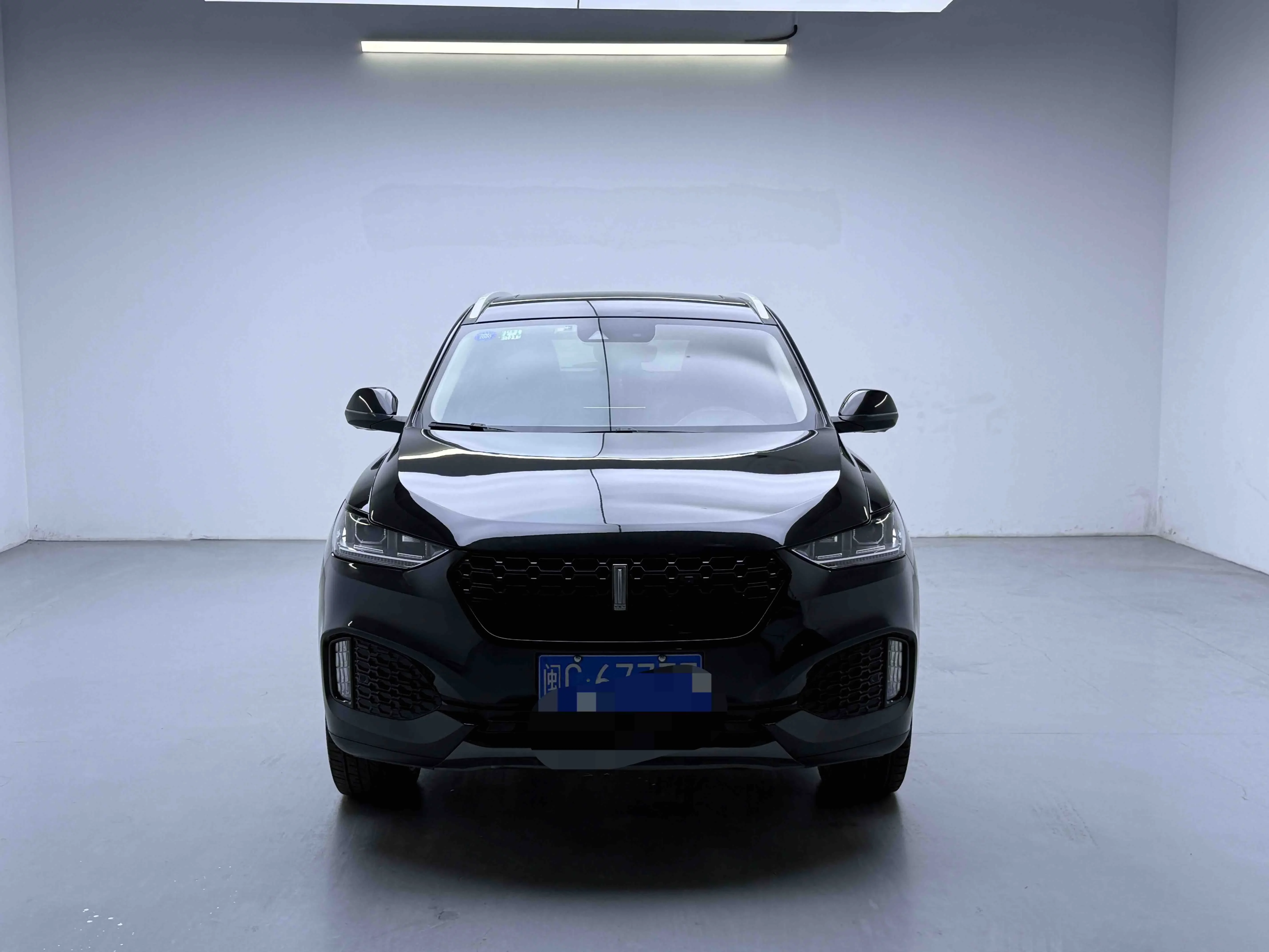 Wey Wei brand VV6