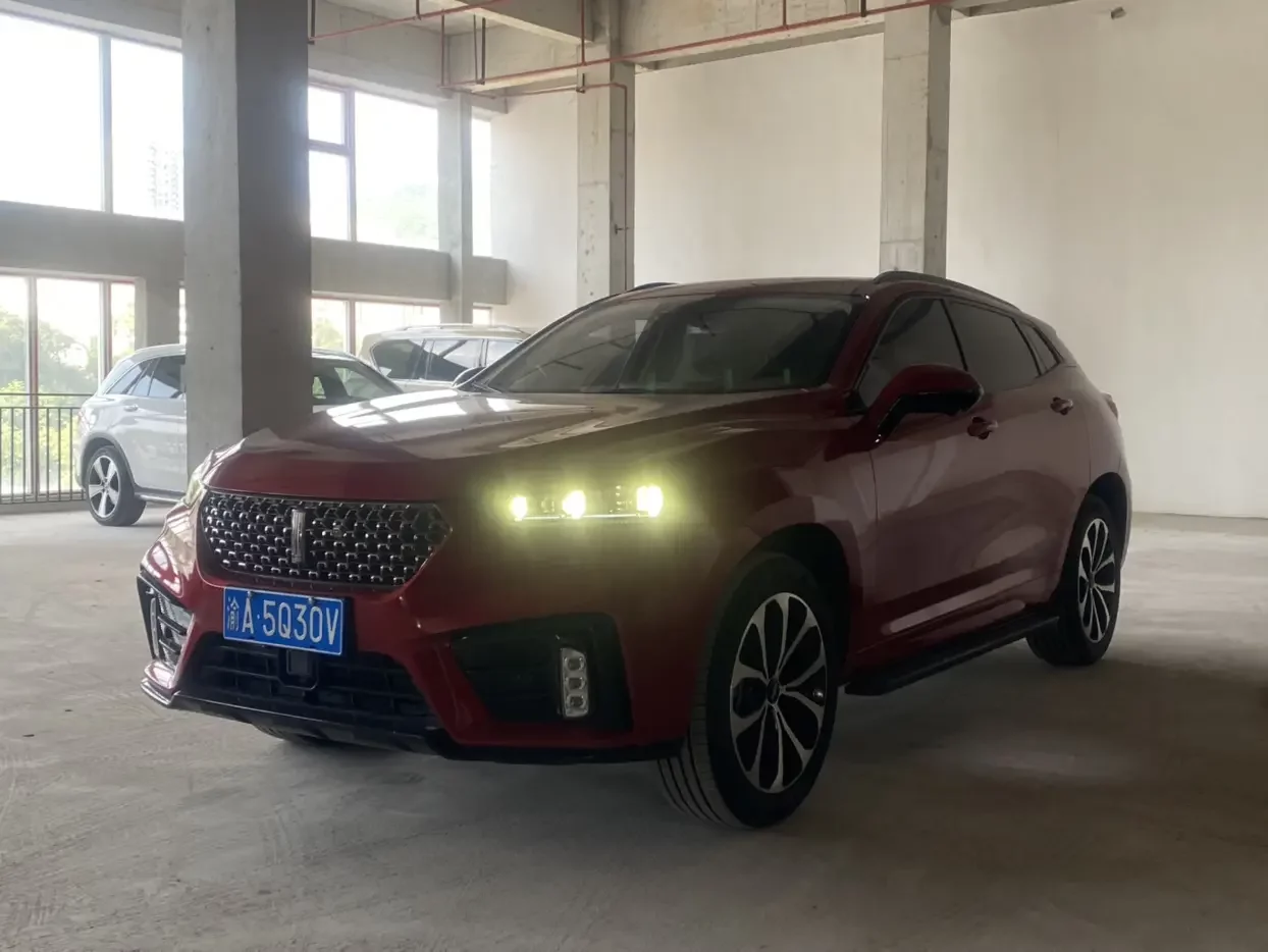 Wey Wei brand VV7