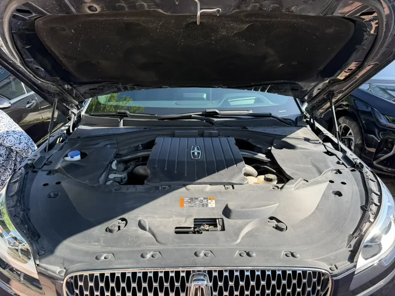 Lincoln aviator
