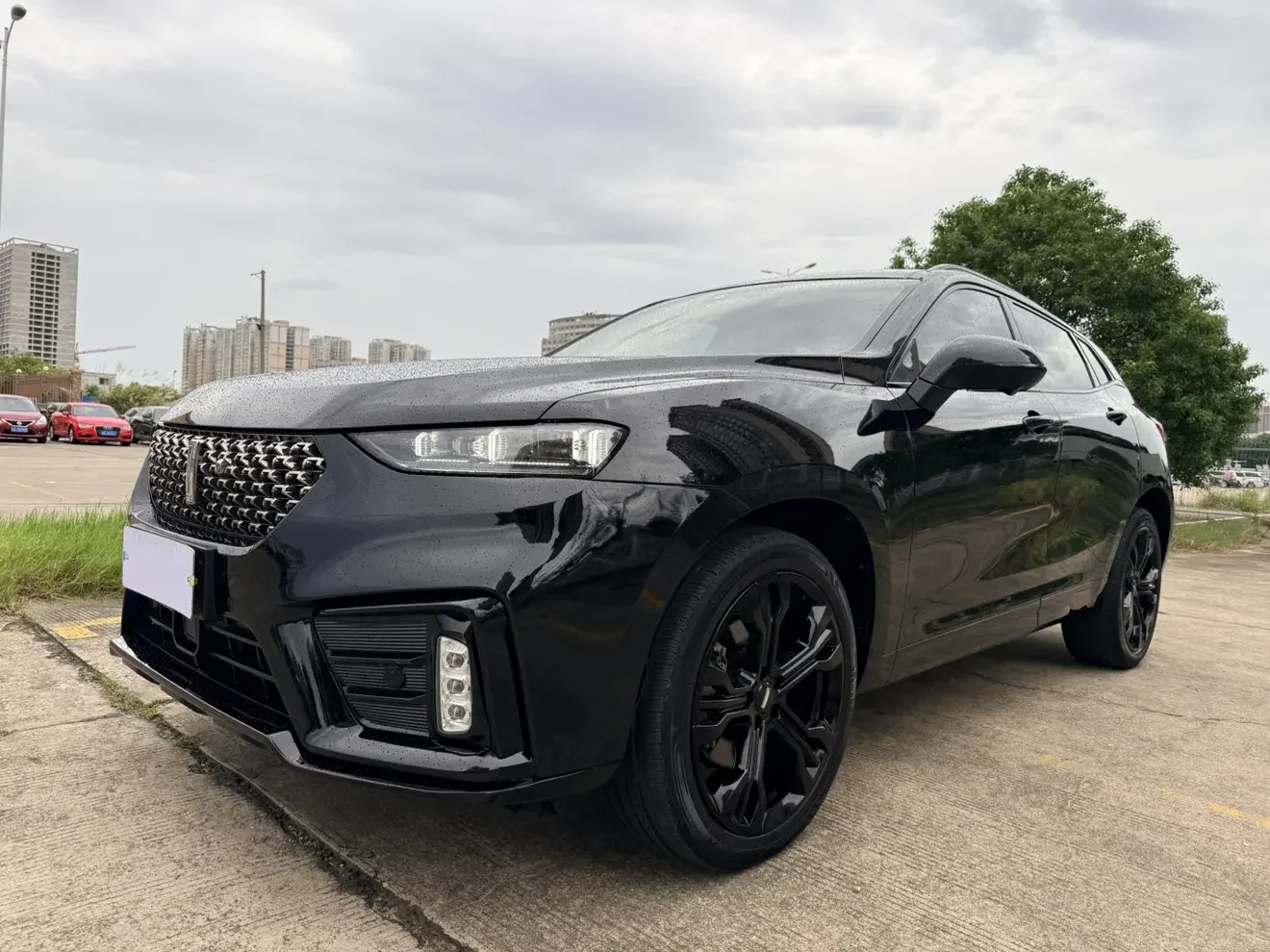 Wey Wei brand VV7