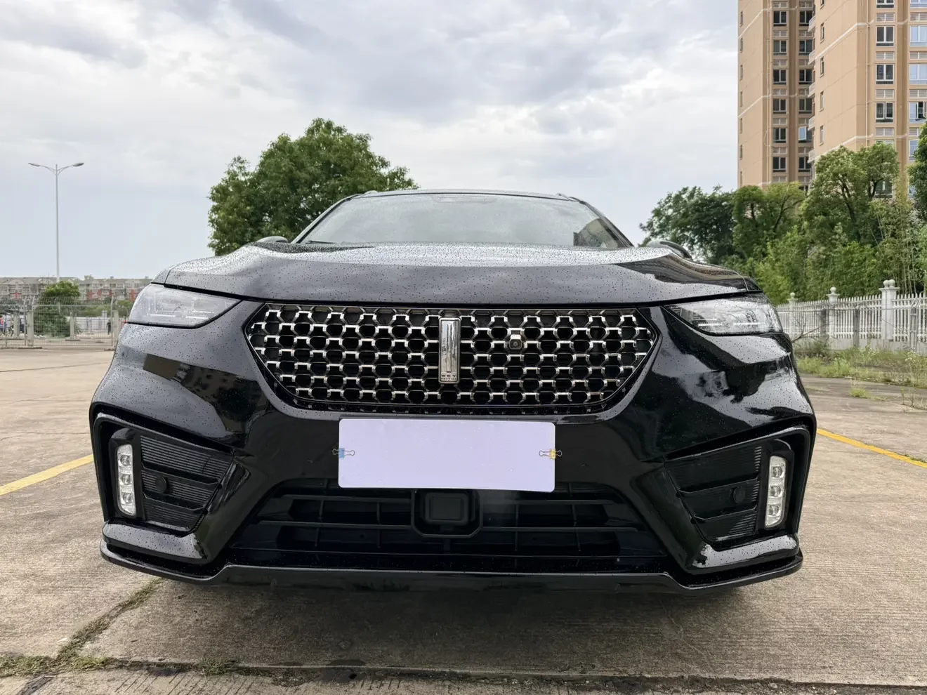 Wey Wei brand VV7