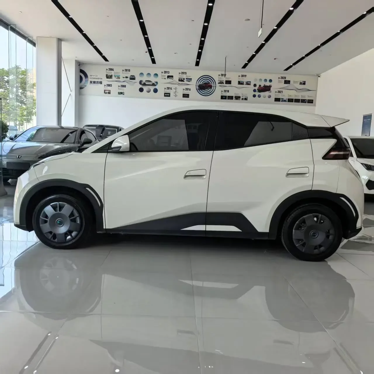 BYD seagull