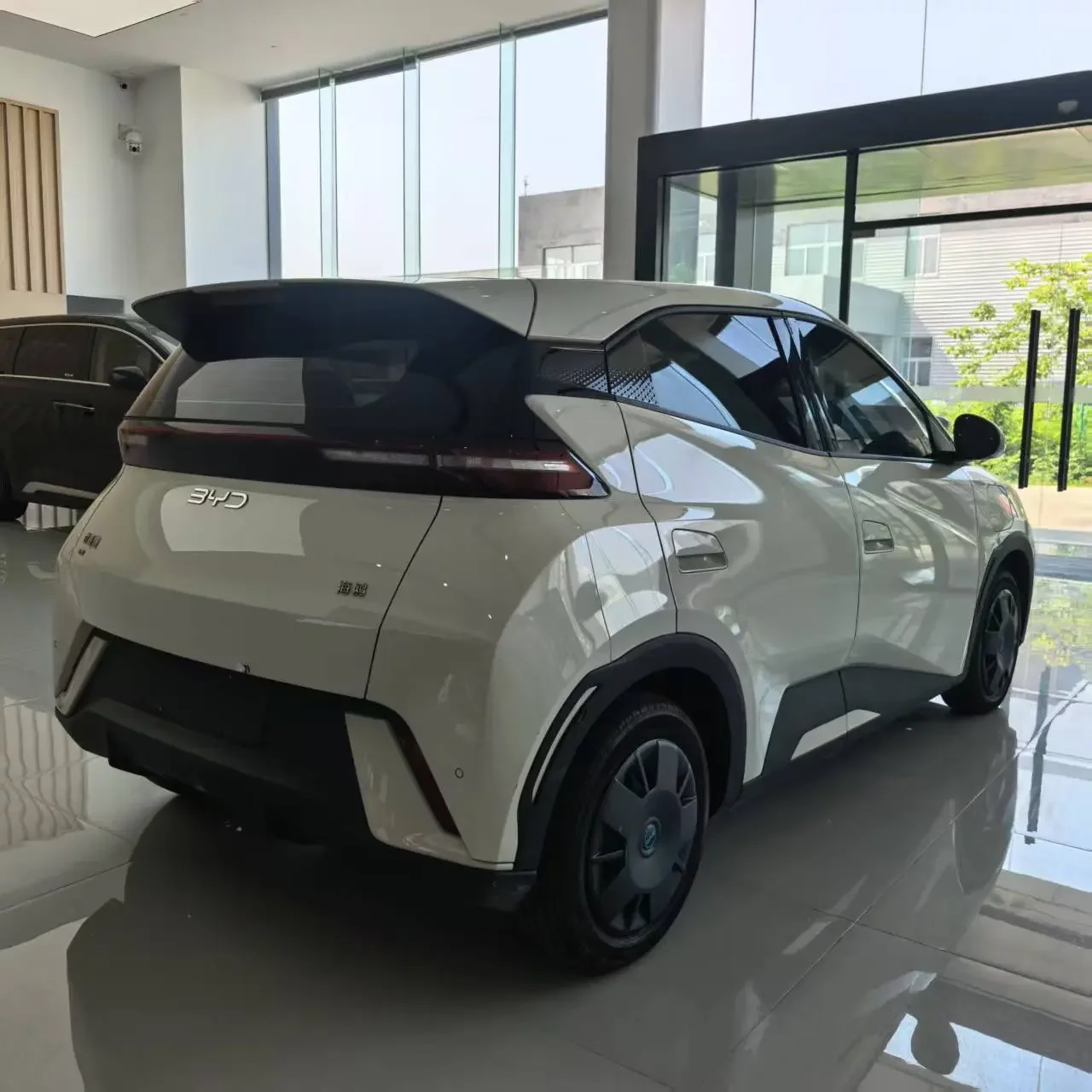 BYD seagull