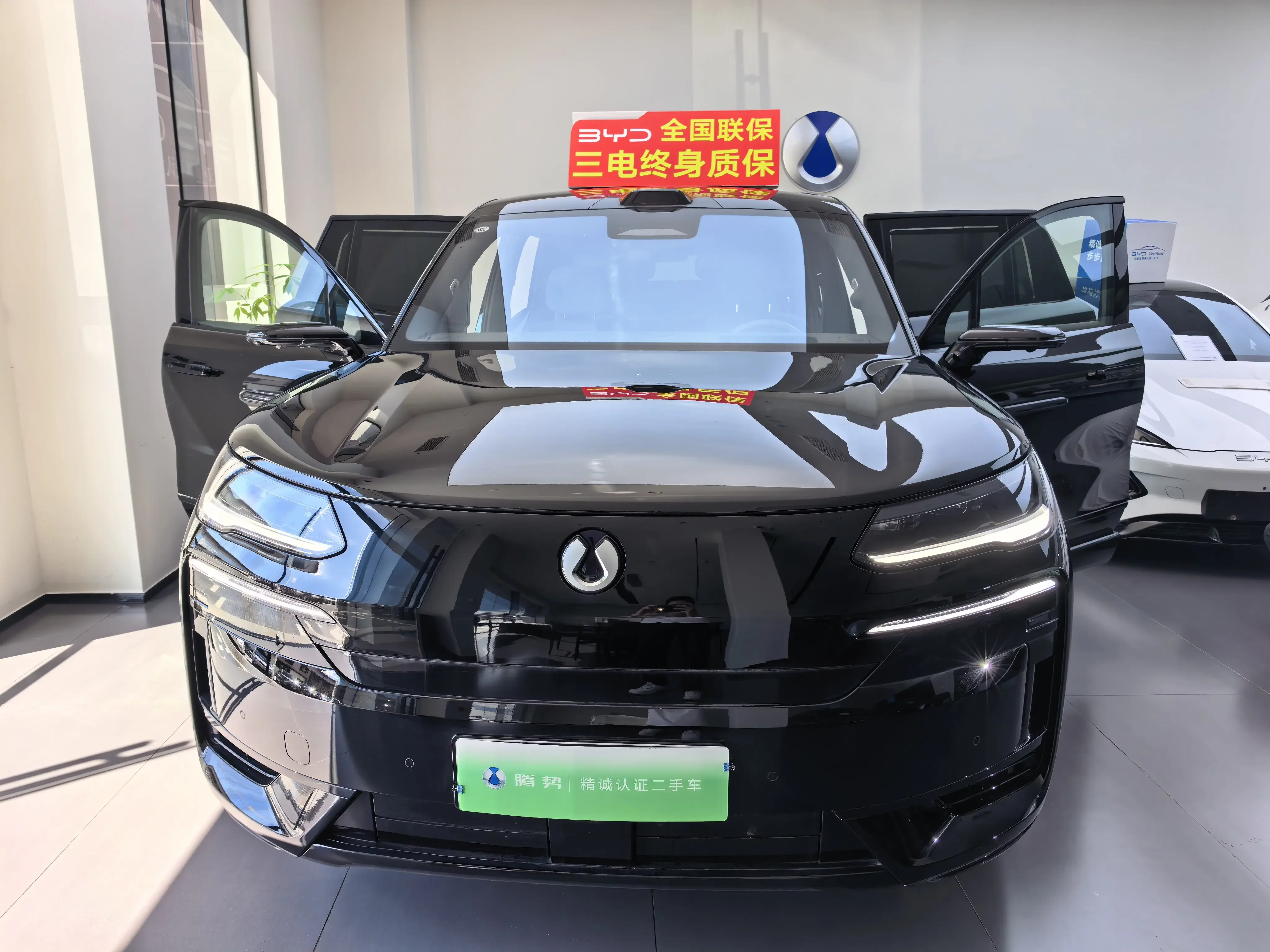 Denza Tengzhong N9 DM