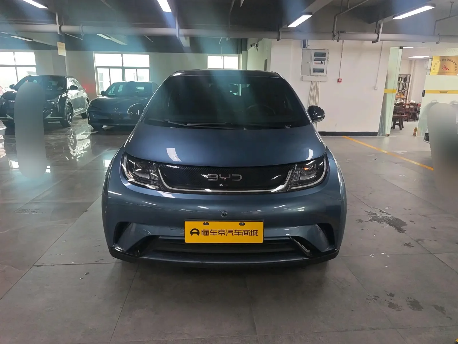 BYD dolphin