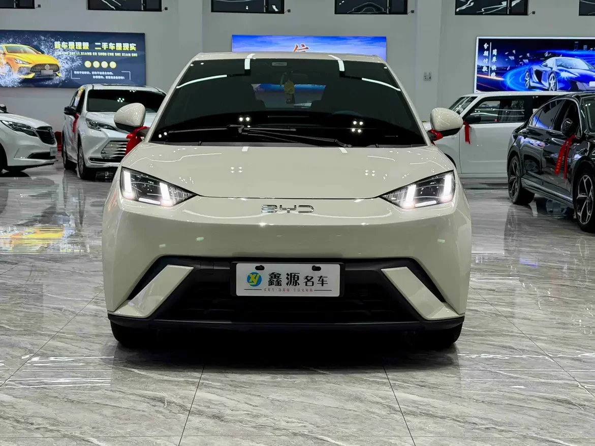 BYD seagull