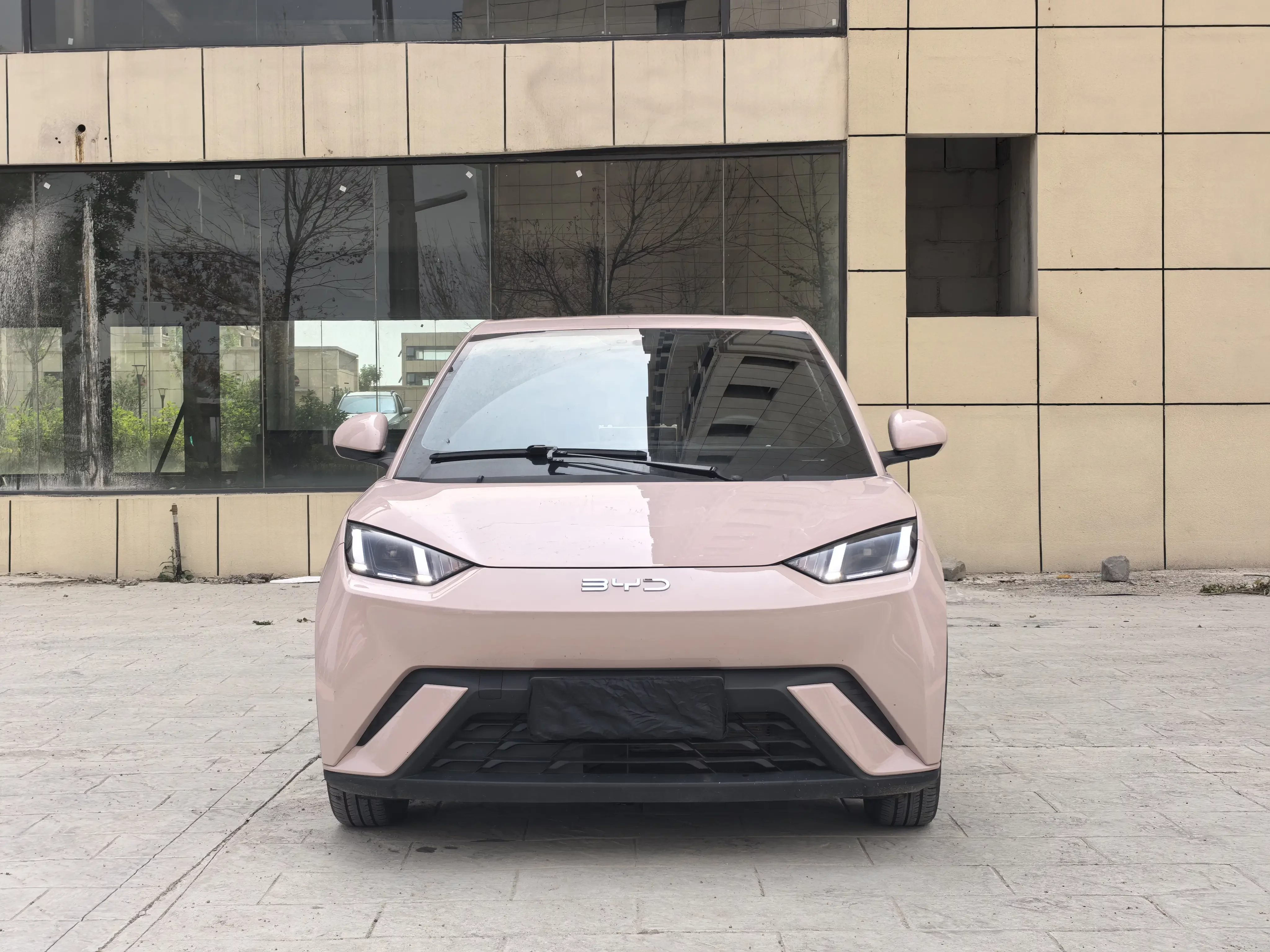BYD seagull