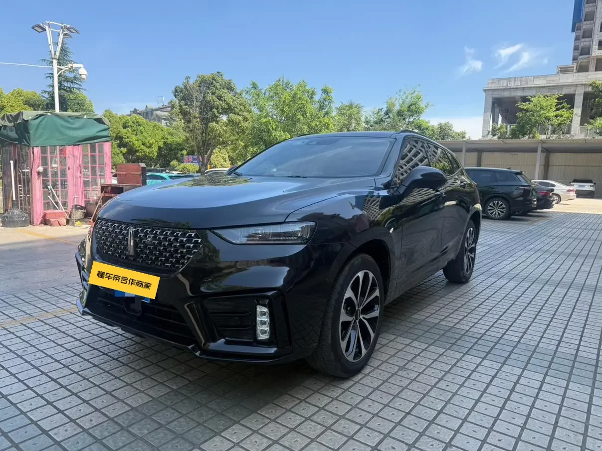 Wey Wei brand VV7