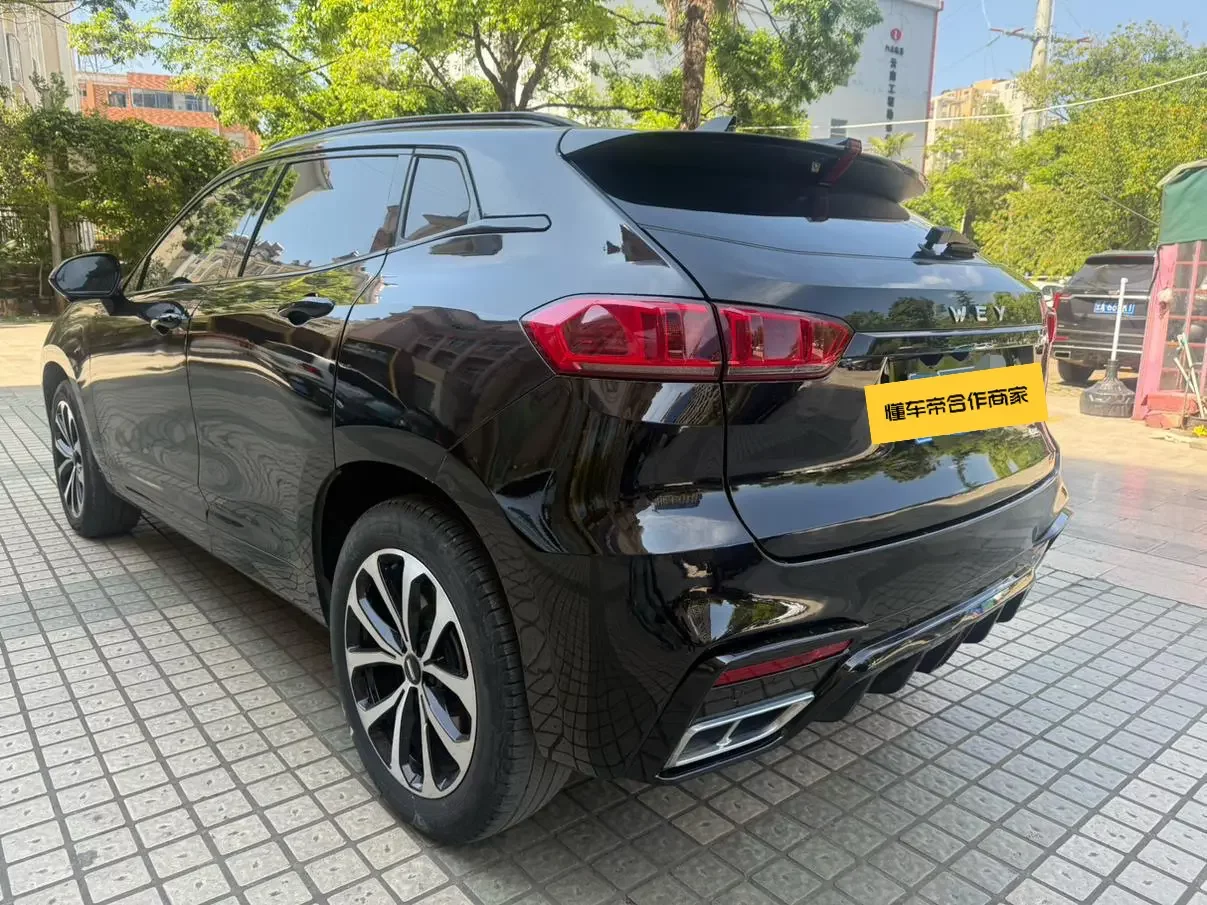 Wey Wei brand VV7