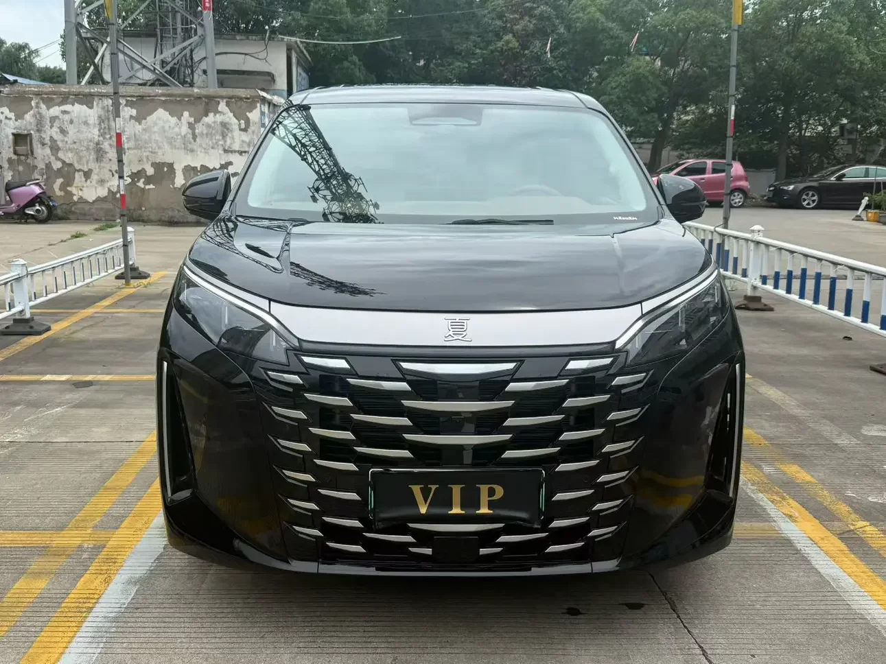 BYD summer
