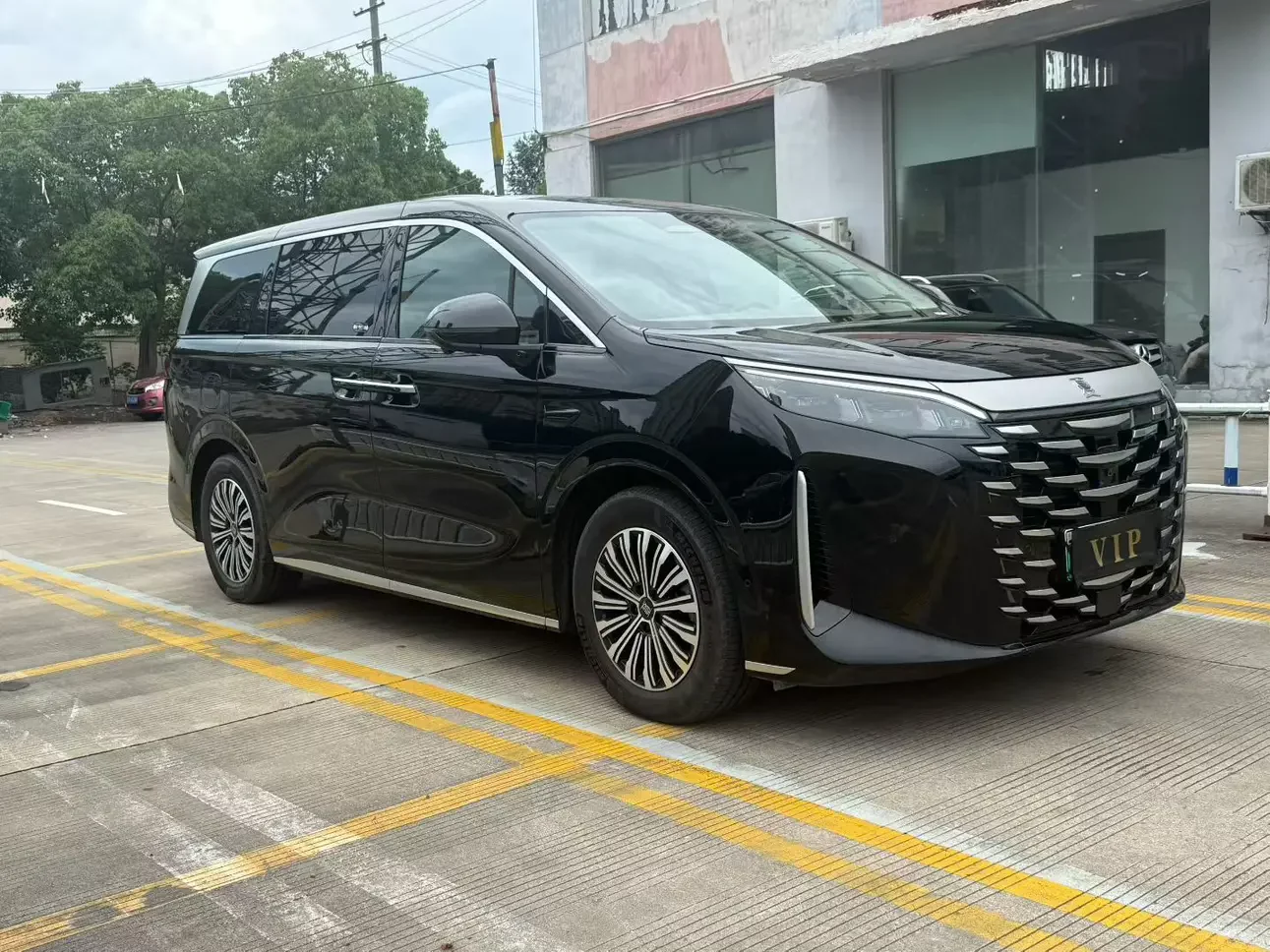 BYD summer