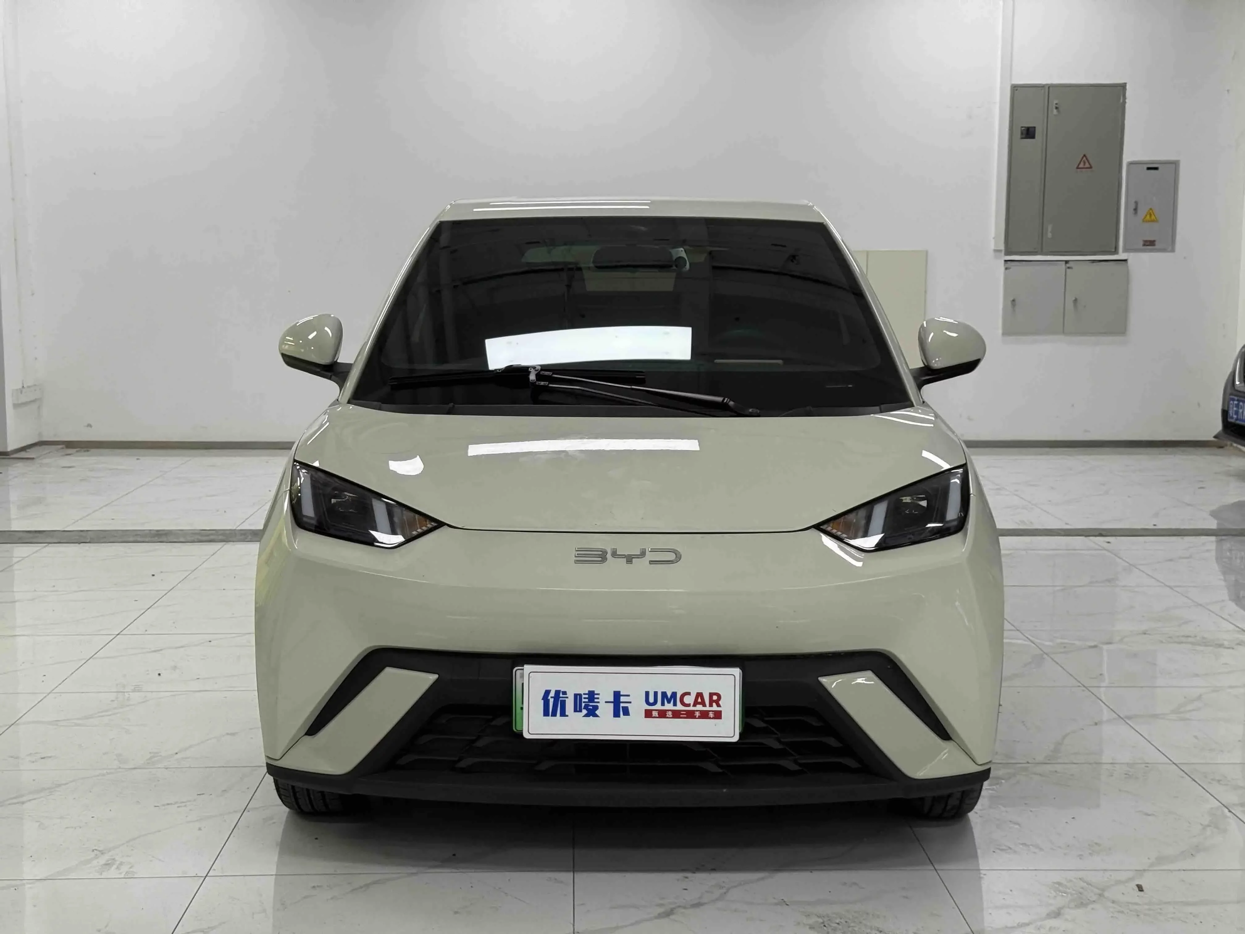 BYD seagull