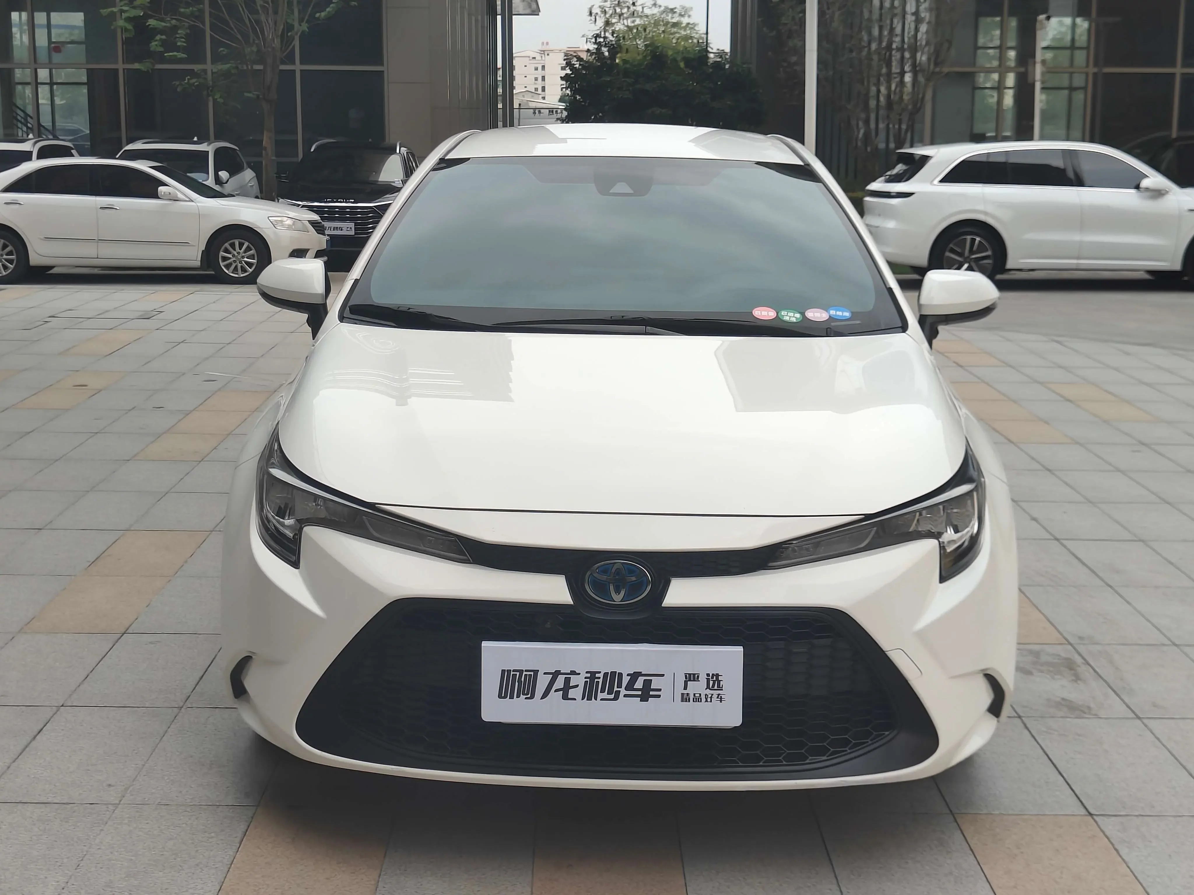 Toyota Levin