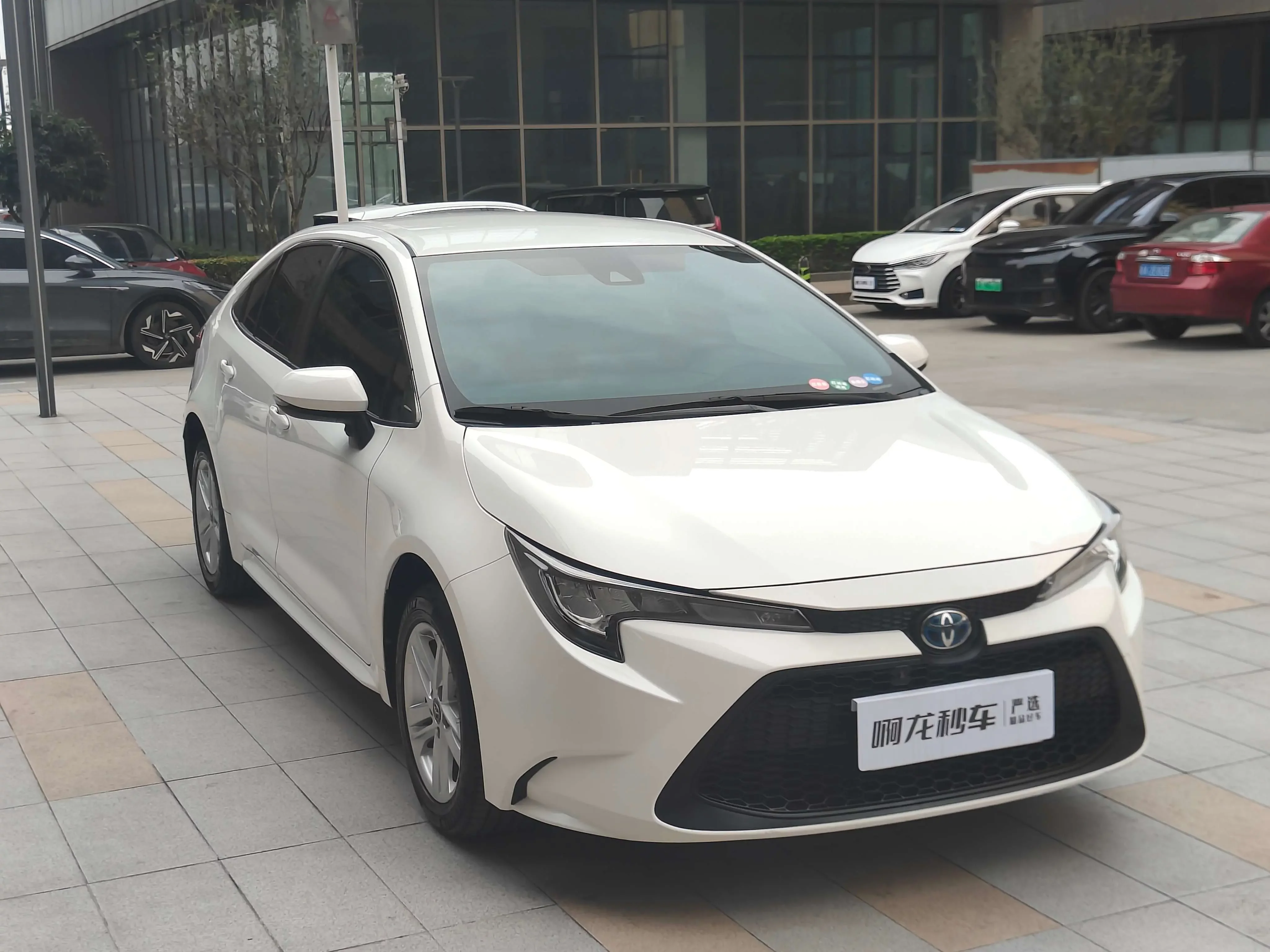 Toyota Levin