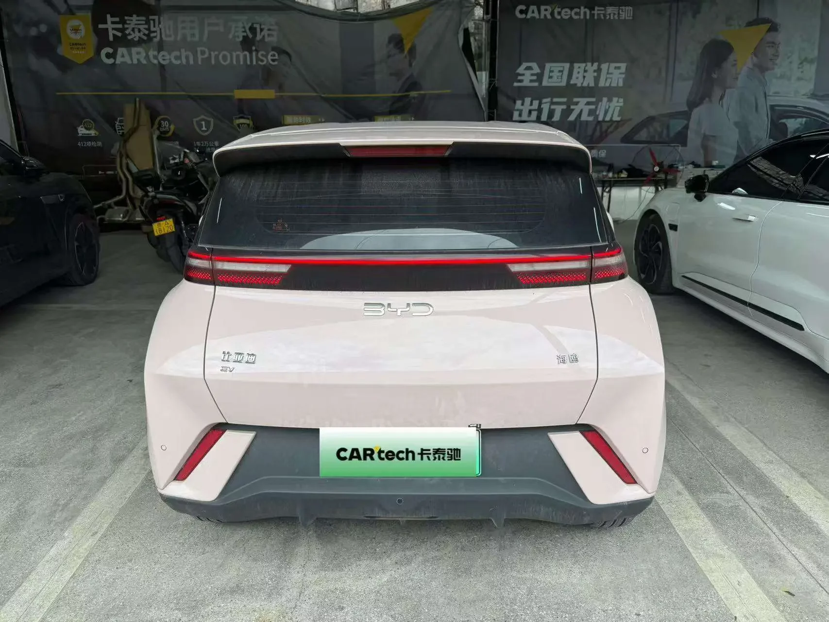 BYD seagull