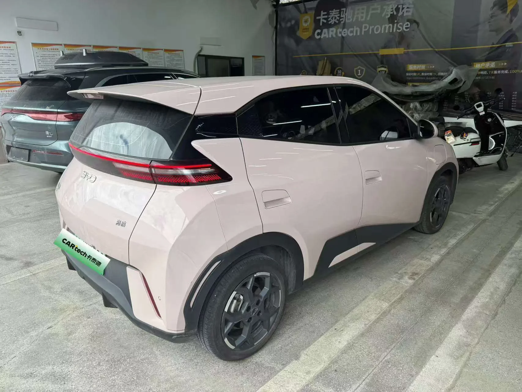 BYD seagull