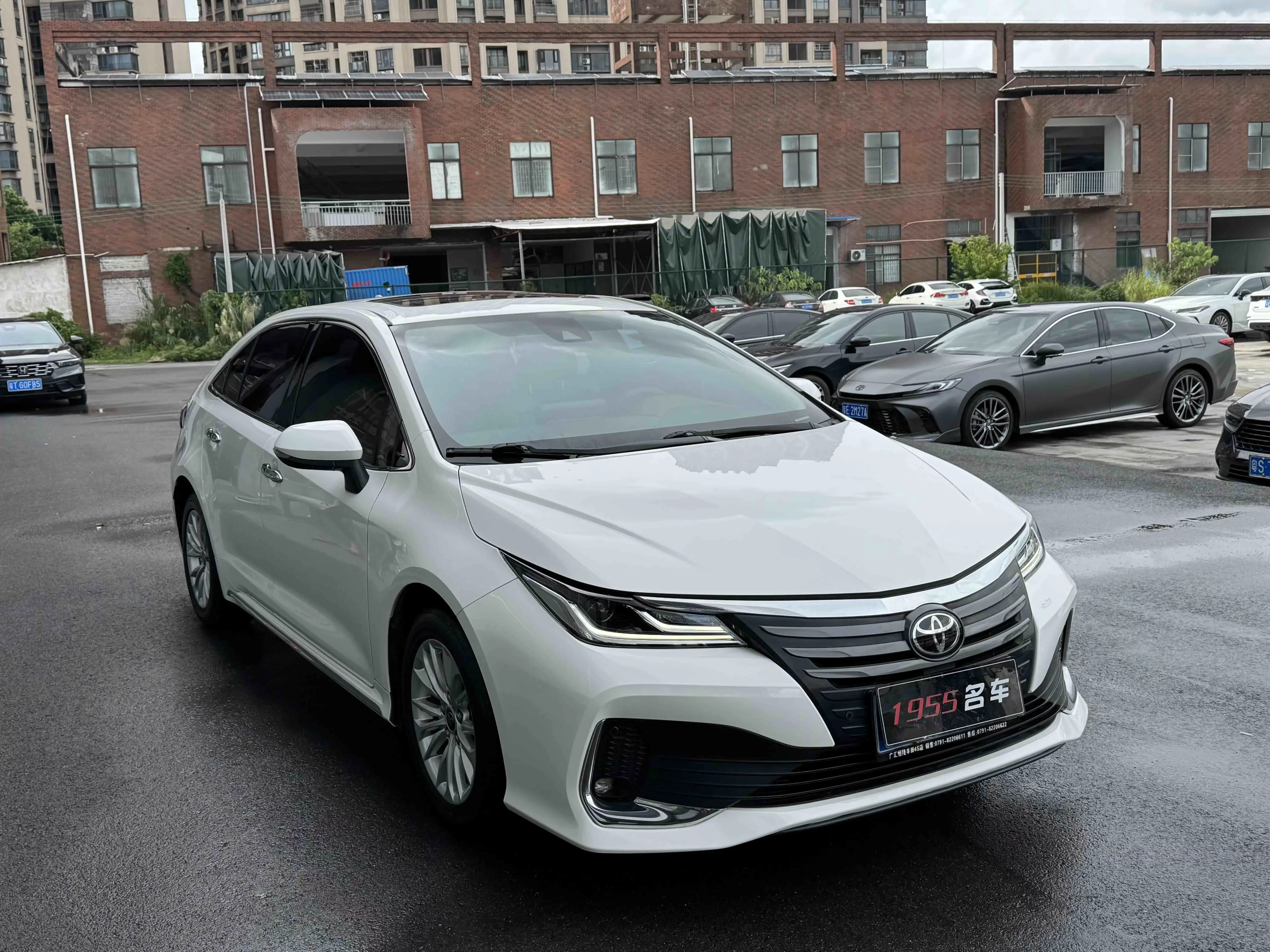 Toyota Asiatic lion