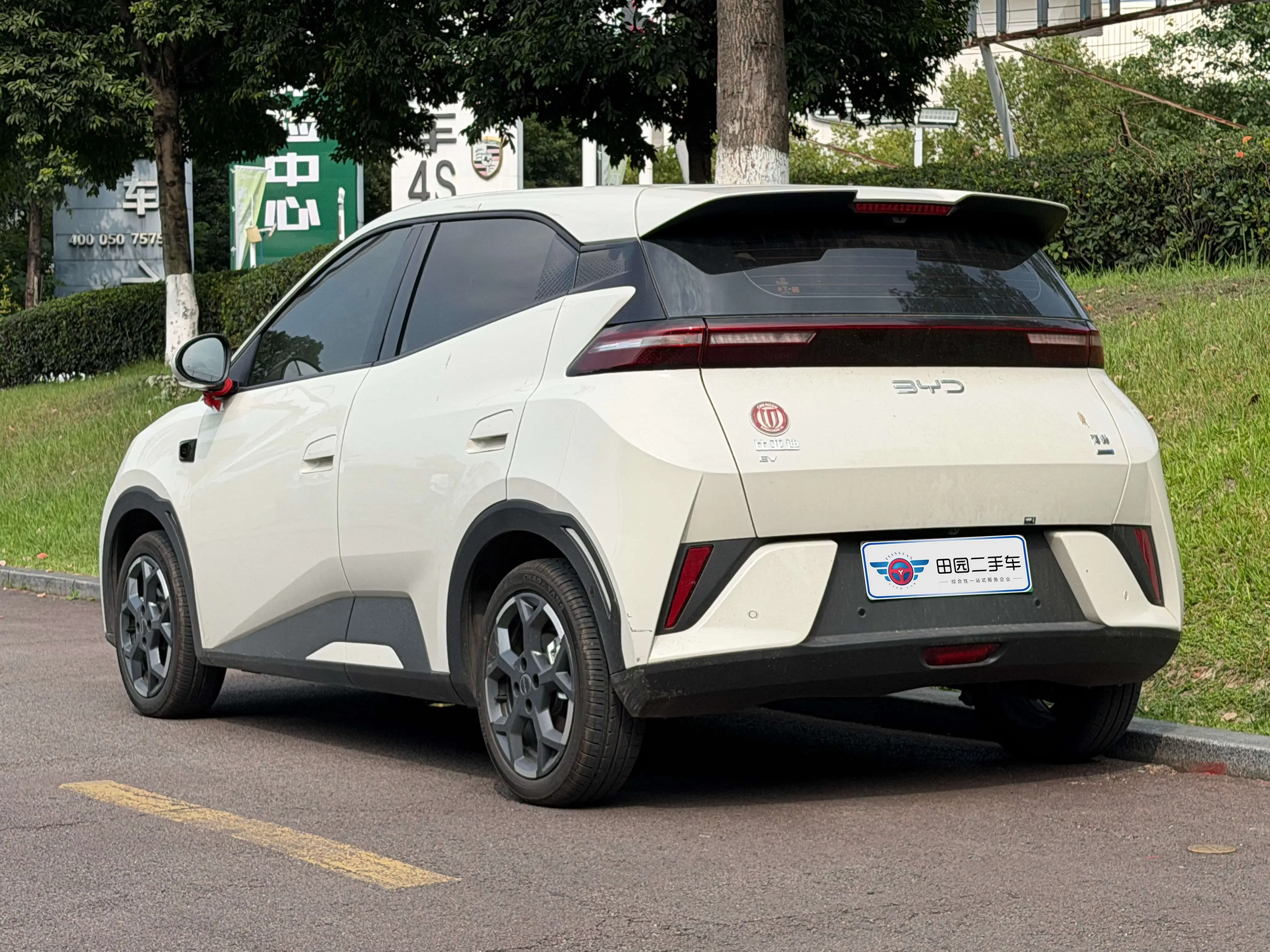 BYD seagull