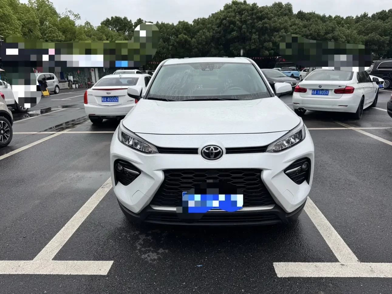 Toyota Willanda
