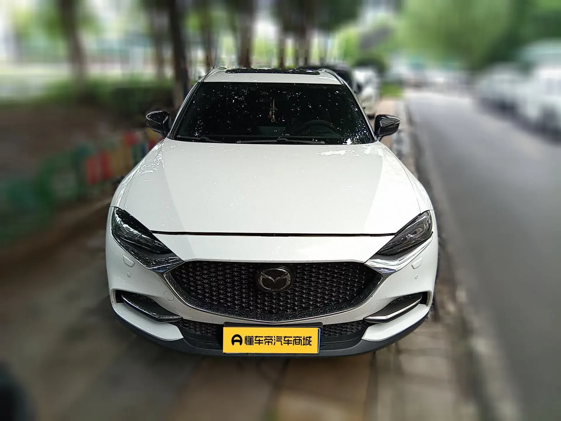 catalog-car-2