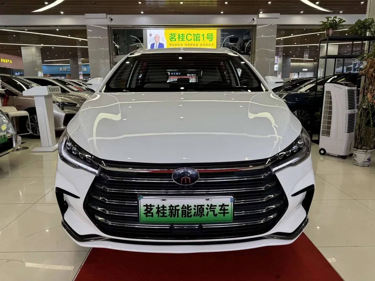 BYD Song MAX DM