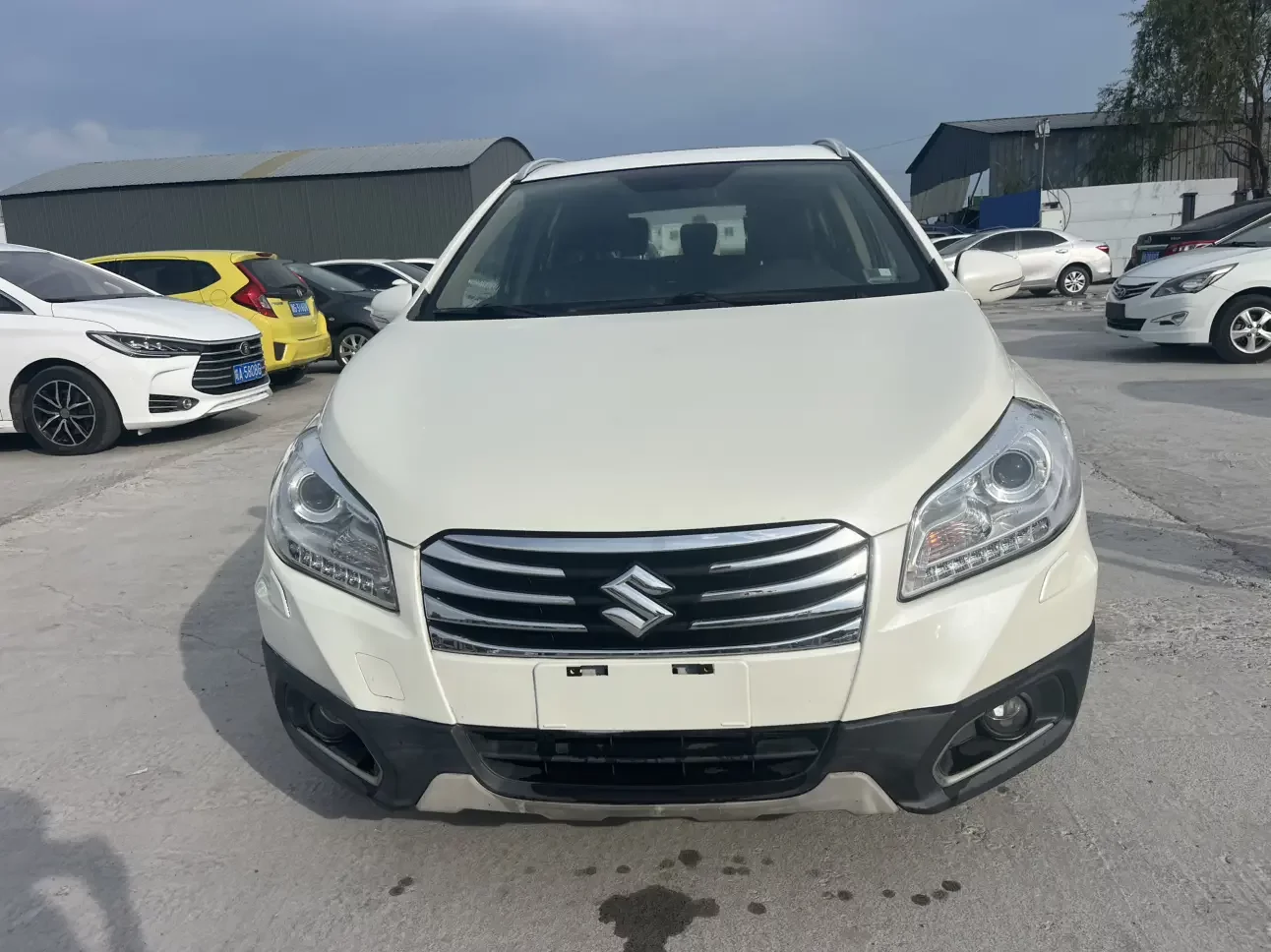 Suzuki Feng Yu