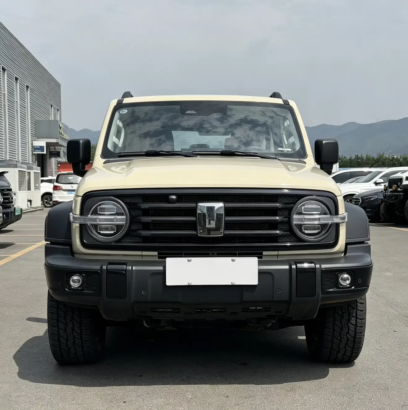 Tank 300 Hi4-T