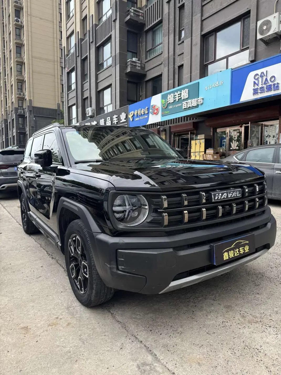 Haval cool dog