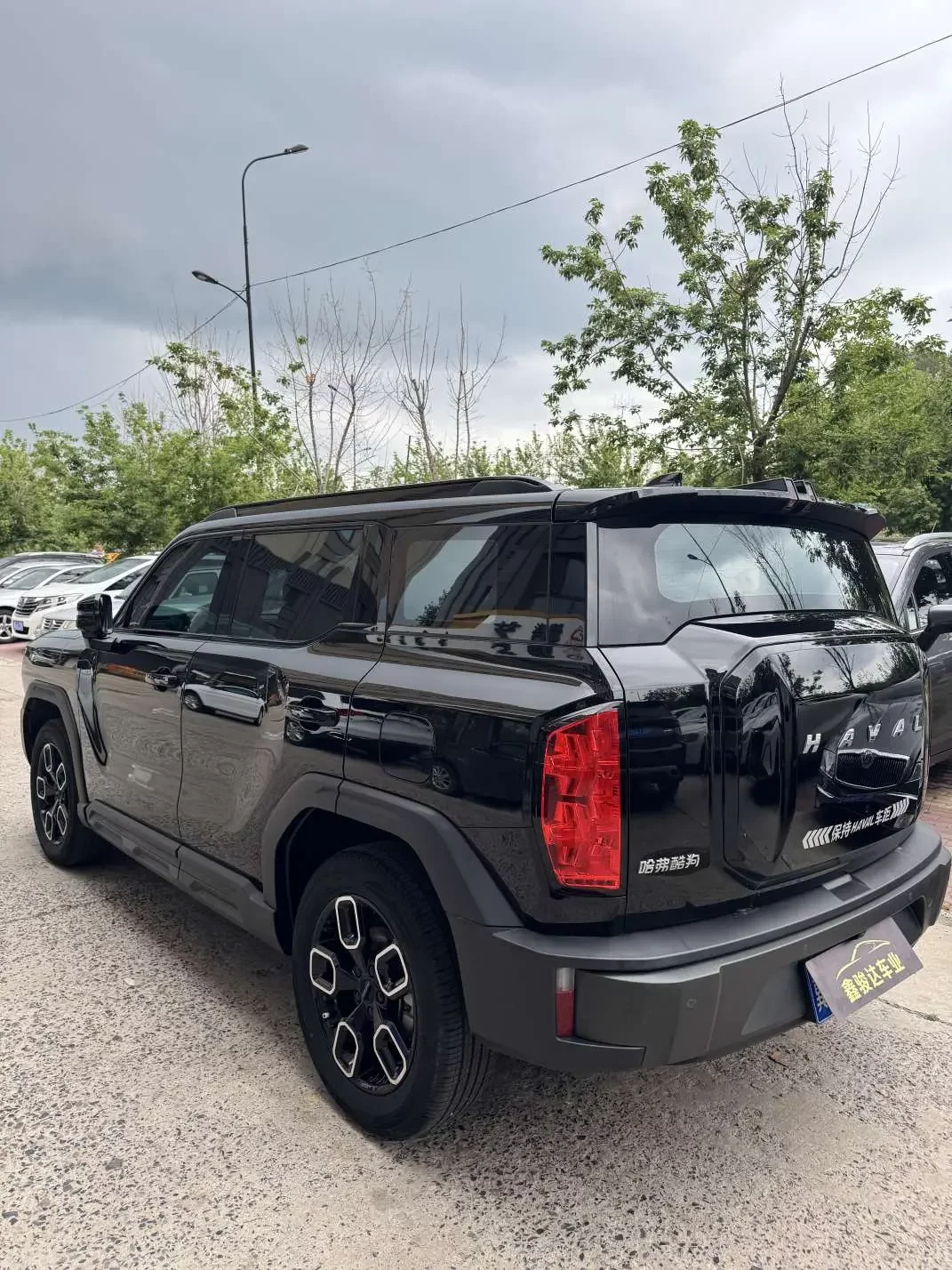 Haval cool dog