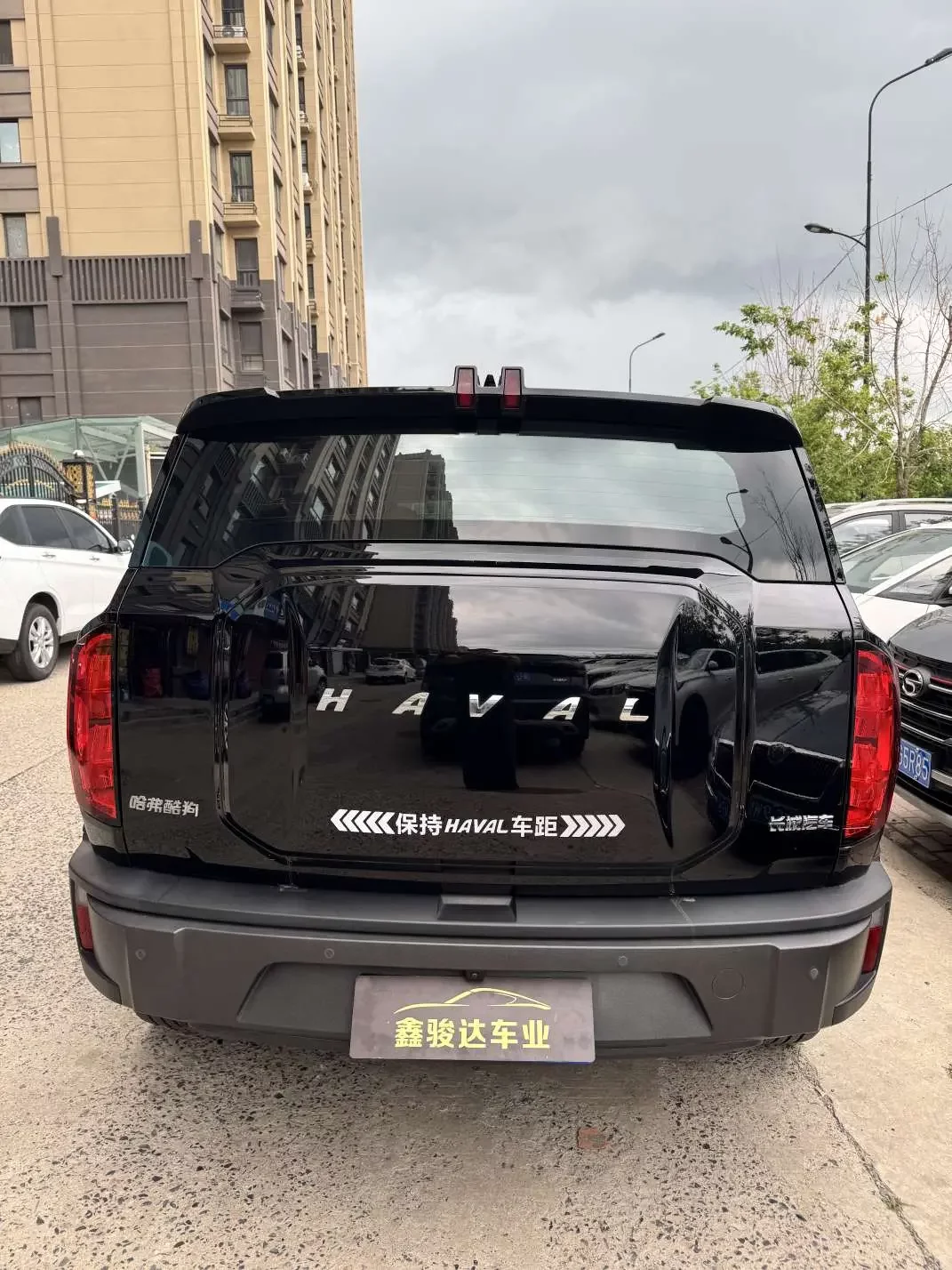 Haval cool dog