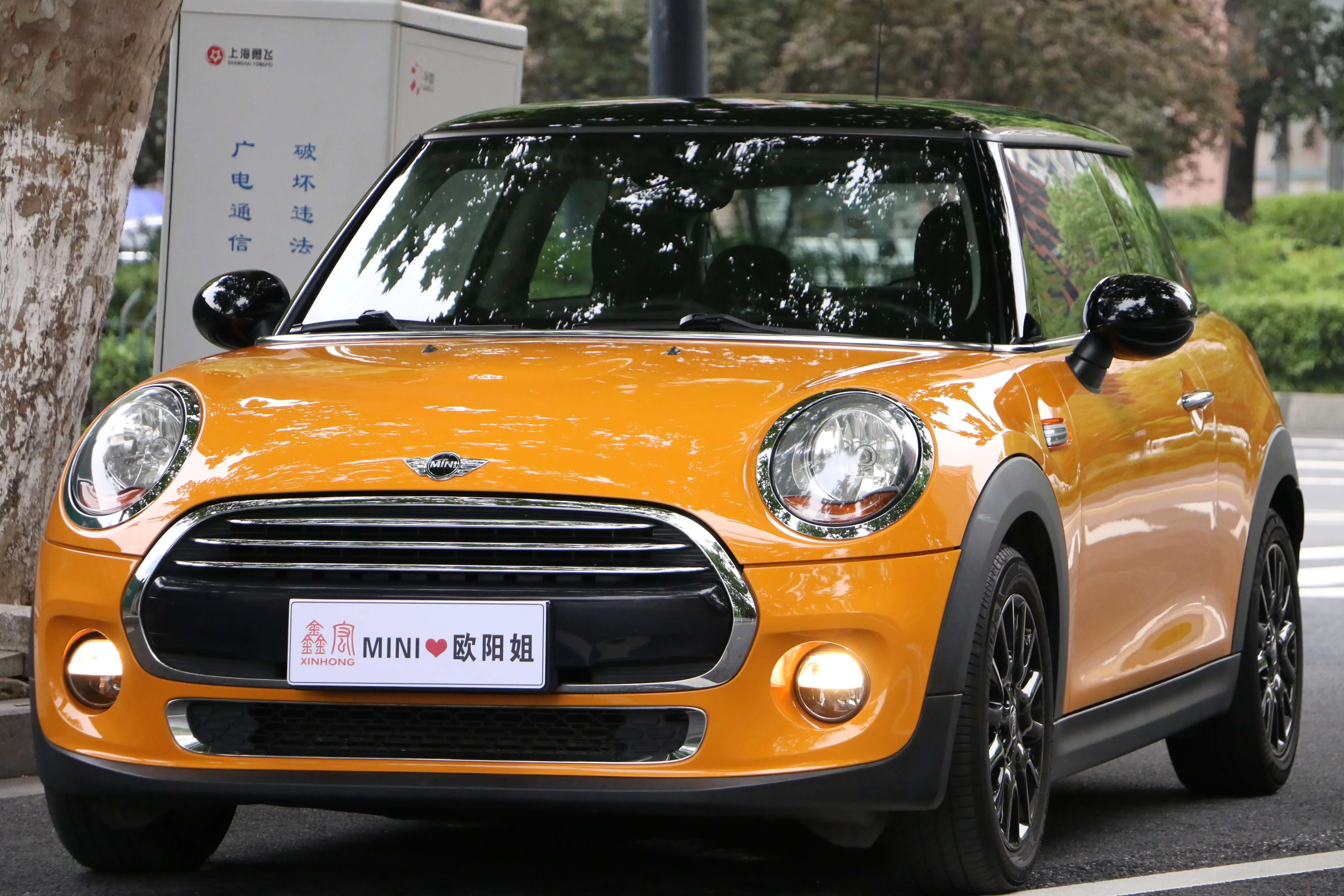 MINI 