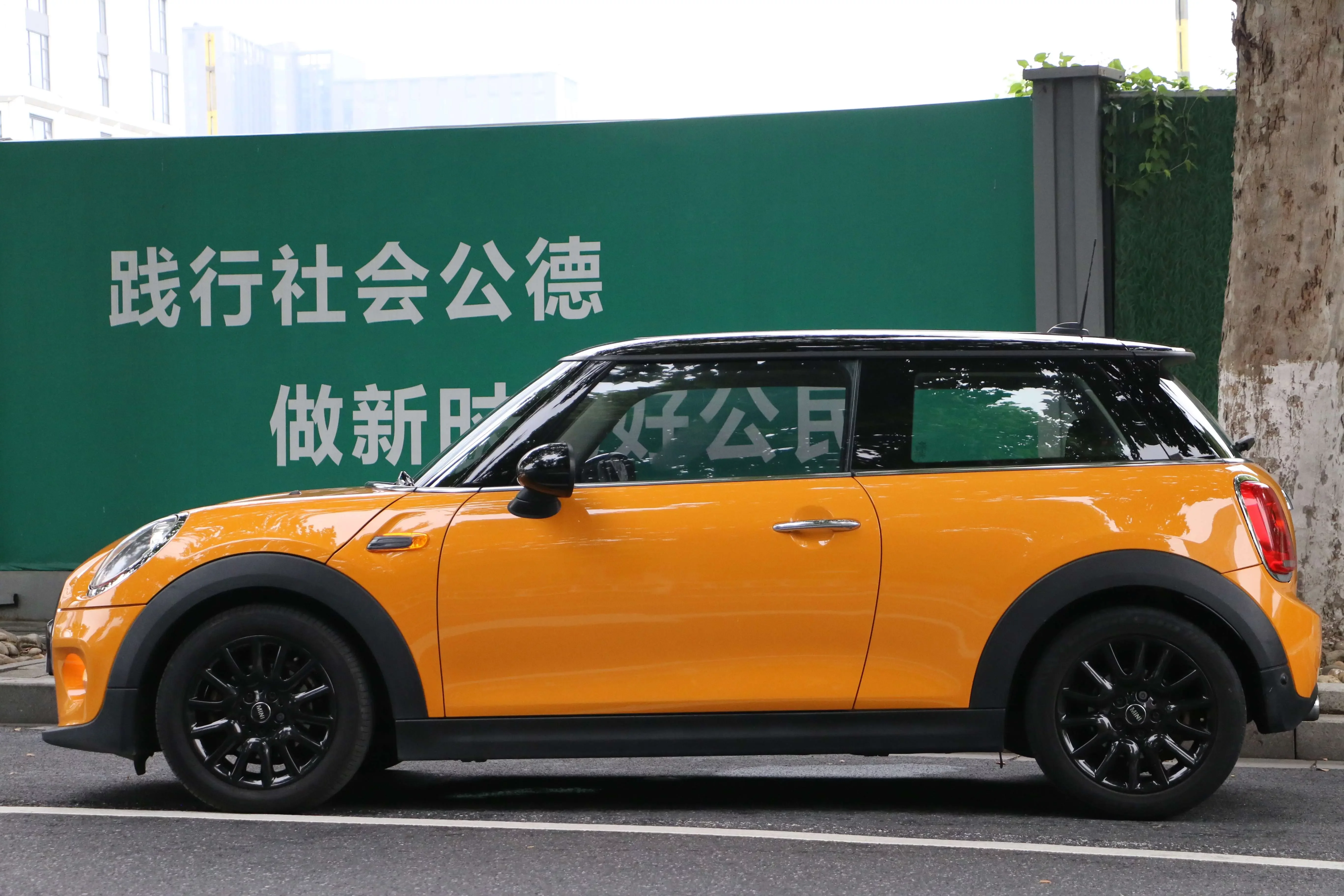 MINI 