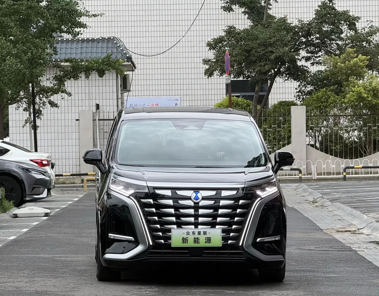 Denza D9 DM