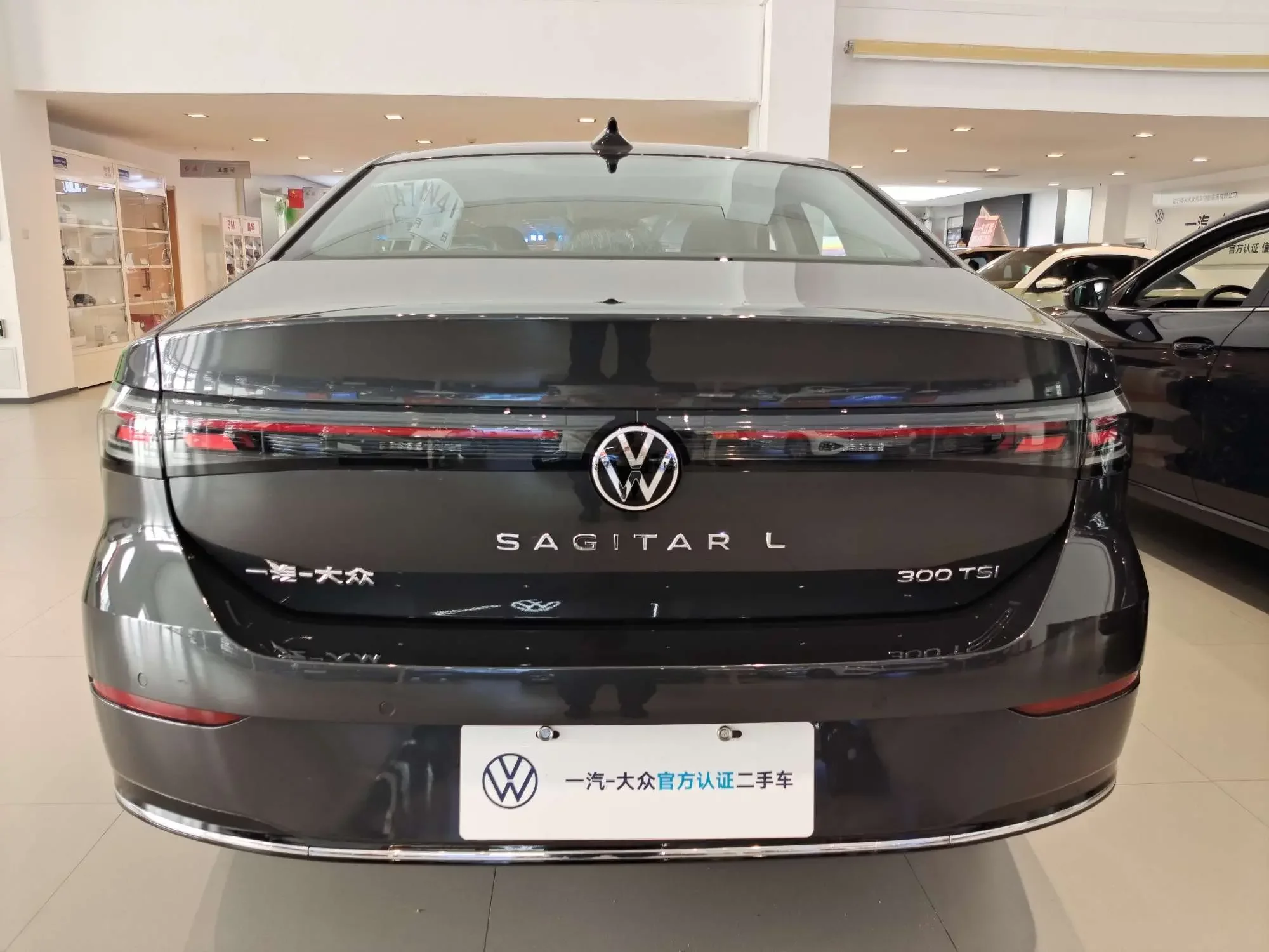 Volkswagen Sagitar