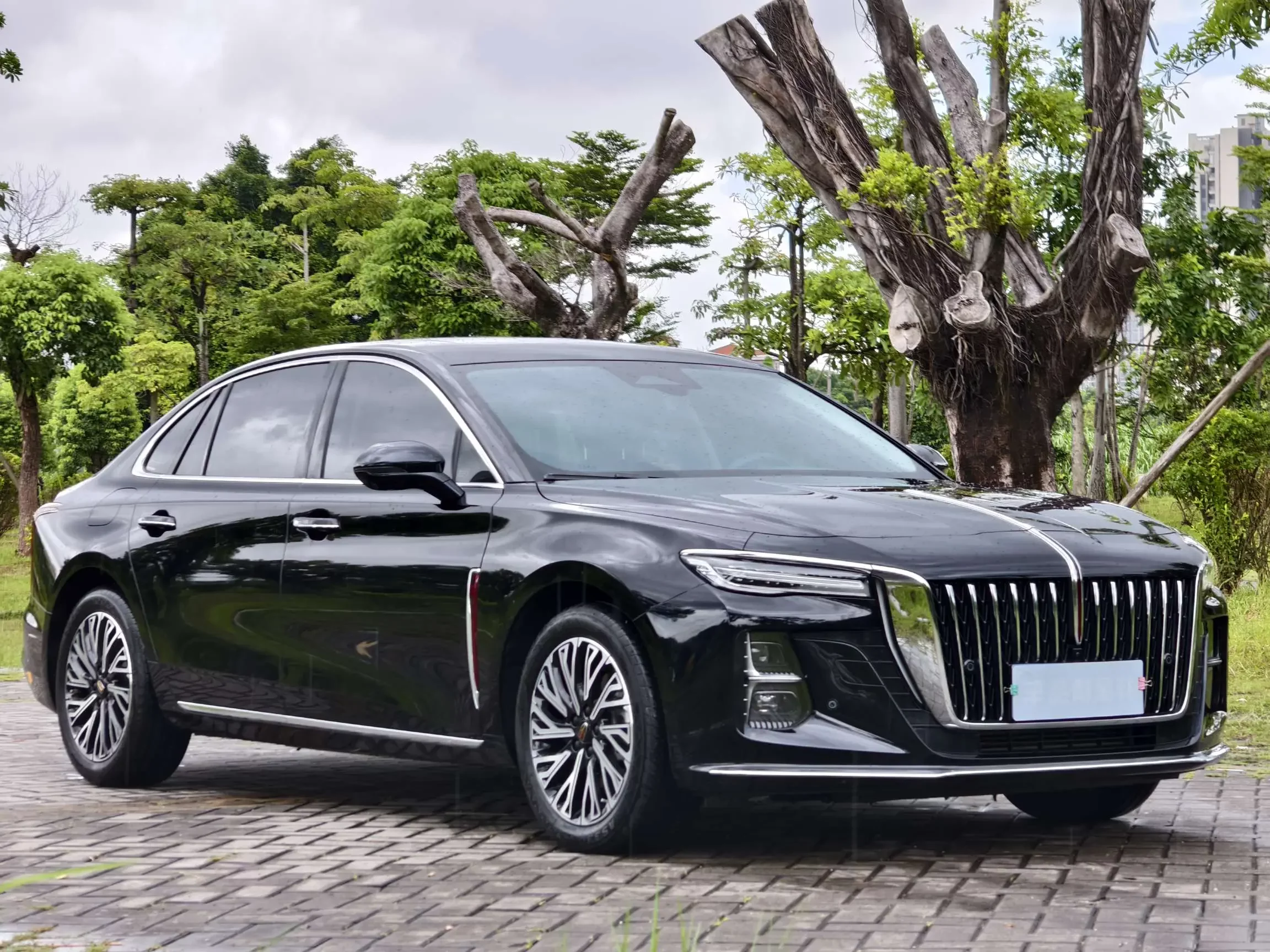 Hongqi H5