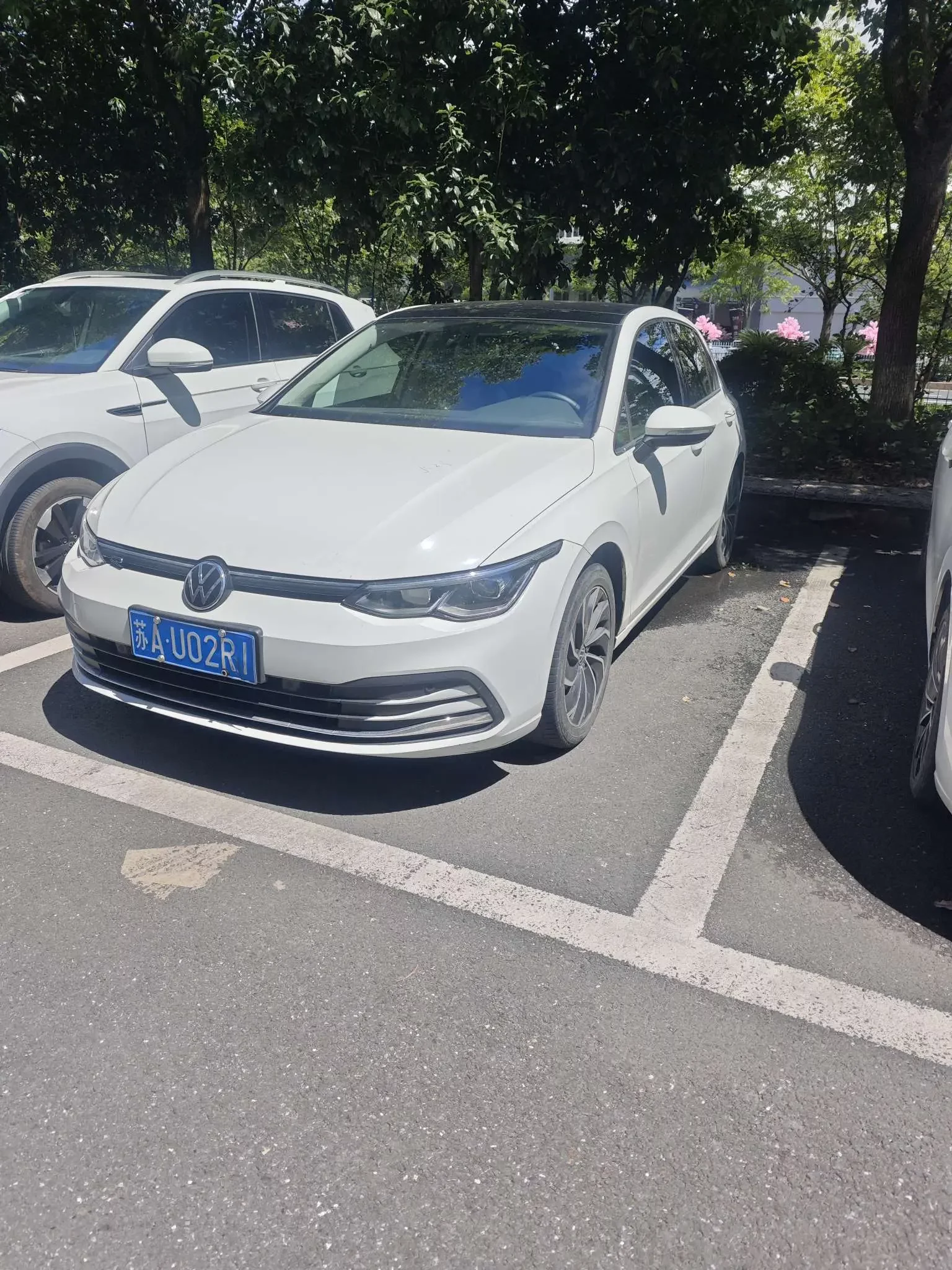 Volkswagen golf