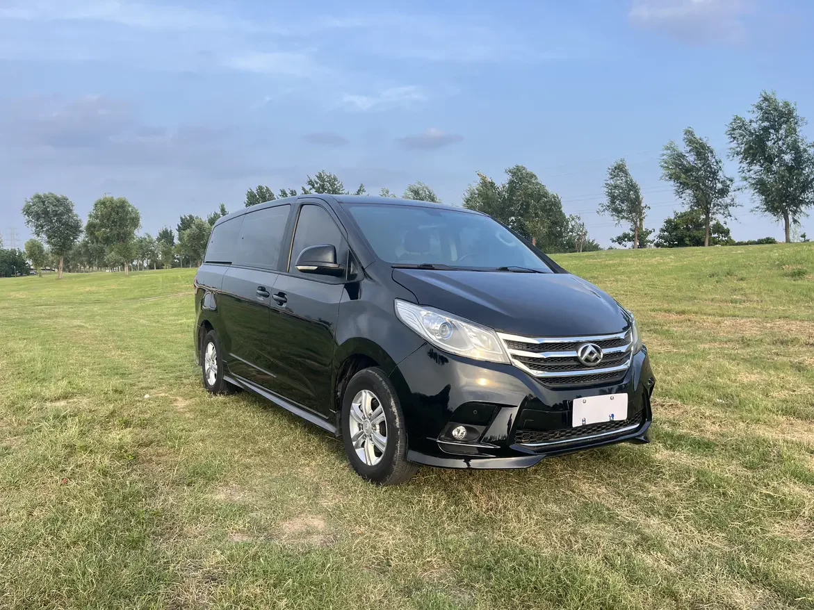 Datong Maxus G10