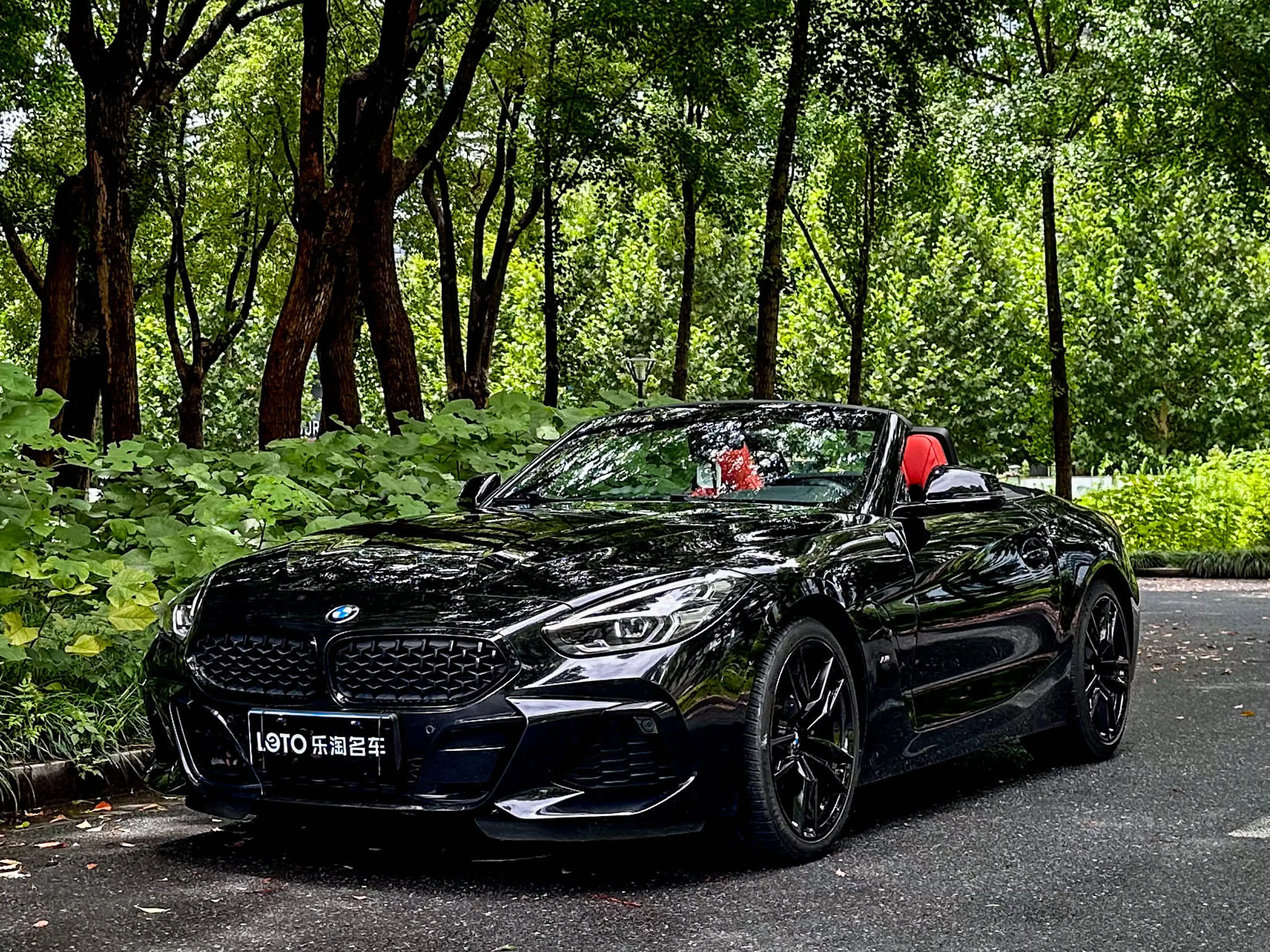 BMW Z4