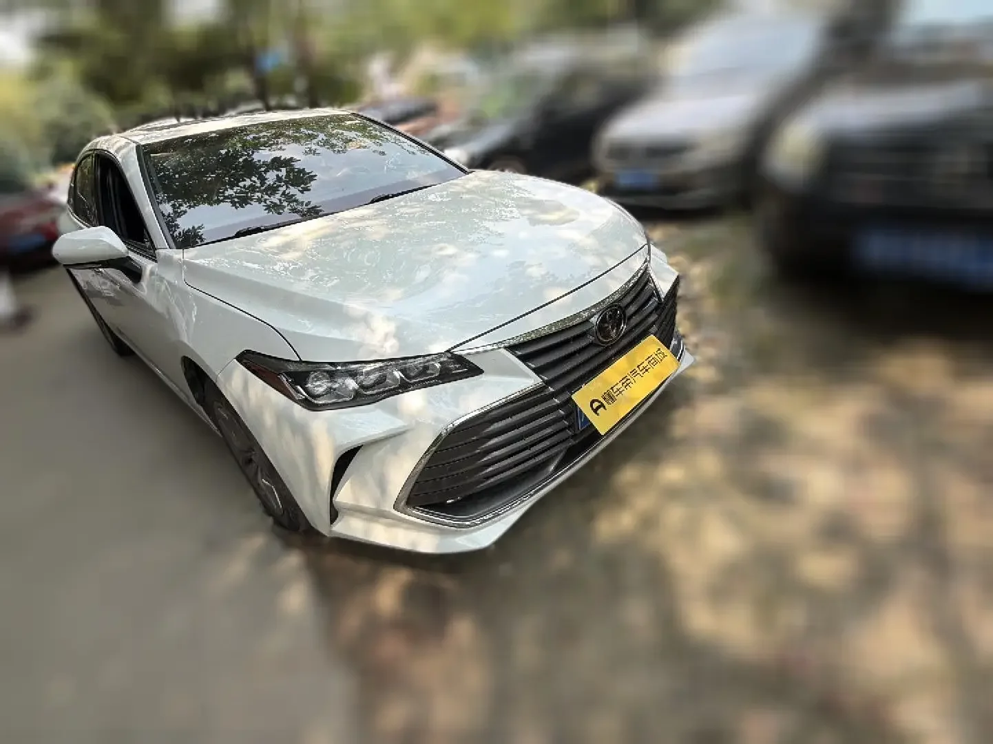 Toyota Avalon