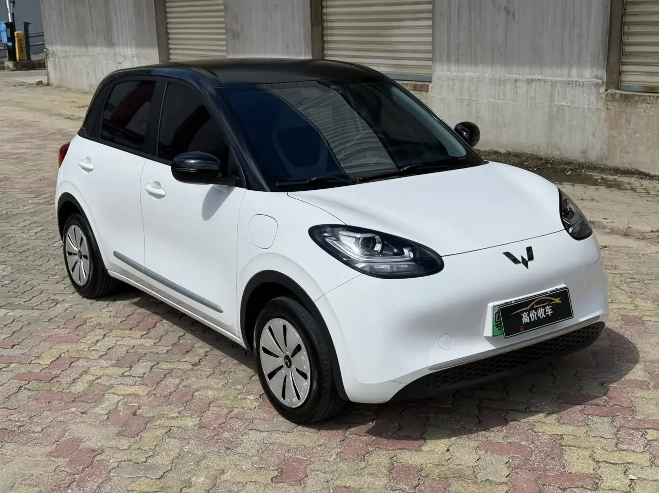 Wuling Bingo