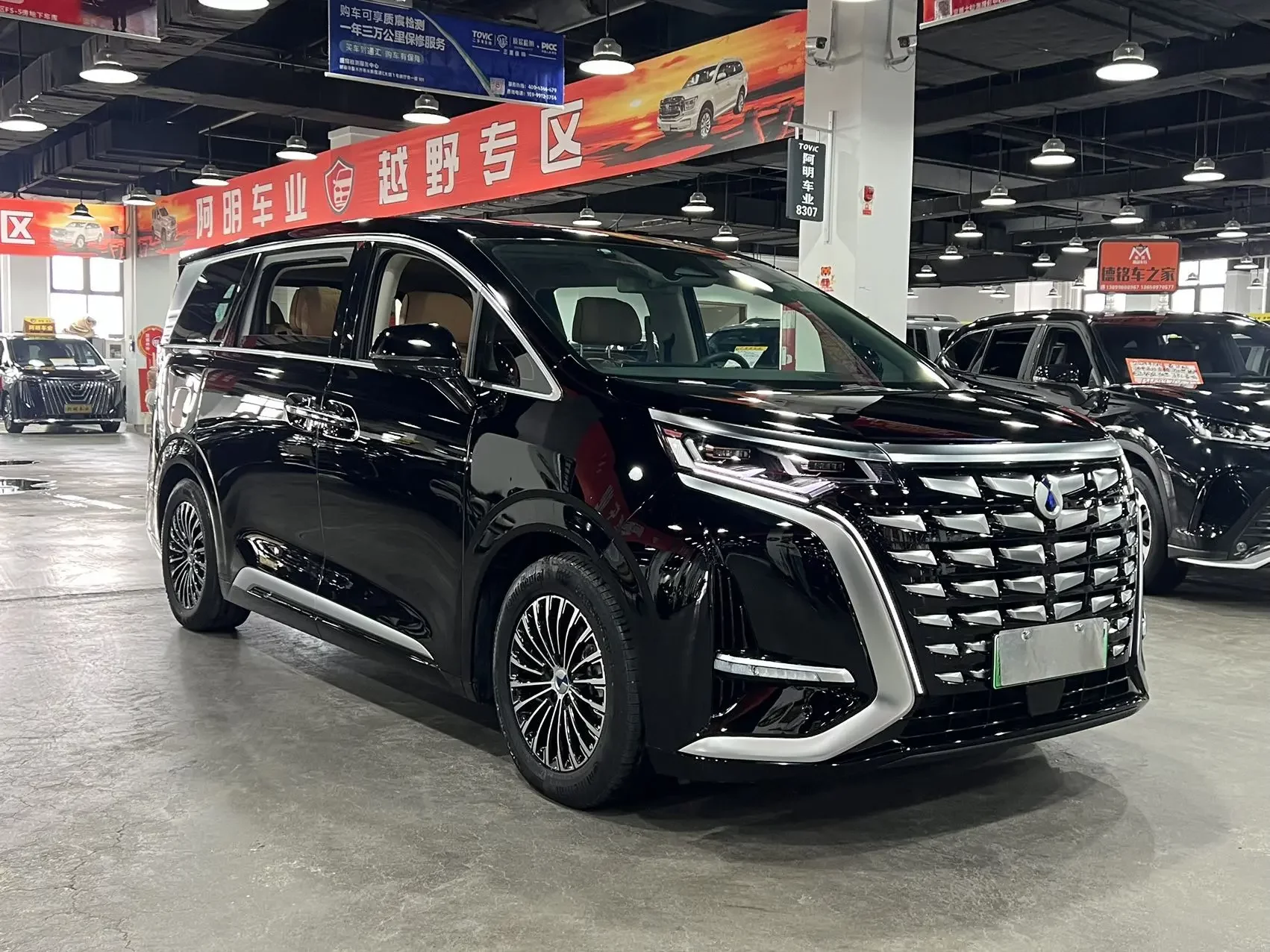 Denza D9 DM