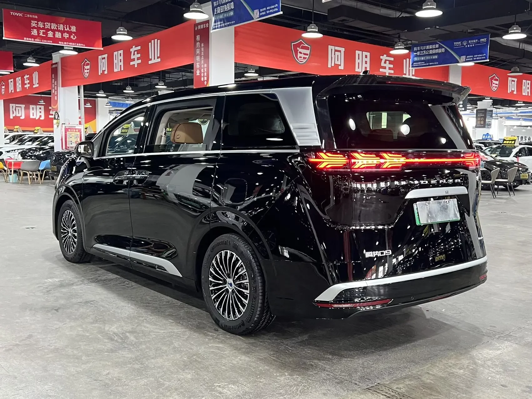 Denza D9 DM