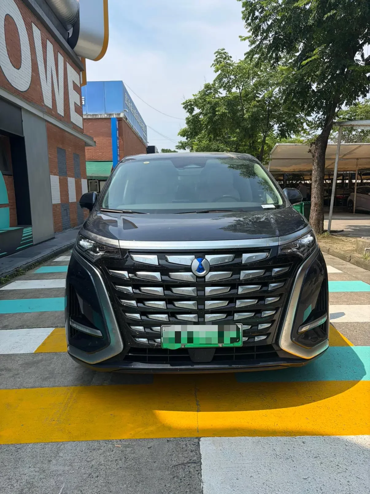 Denza D9 DM